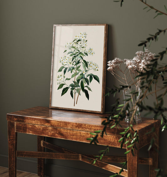 Vintage Botanical Print, Orange Sweet Alyssum Cosmos Painting, Sage Green Heritage Wall Art, Modern Floral Poster V1 1/3