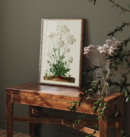 Vintage Queen Anne’s Lace Art Print, Green Poster Painting, Red Berry Heritage Wall Art 2026 V2 2/3