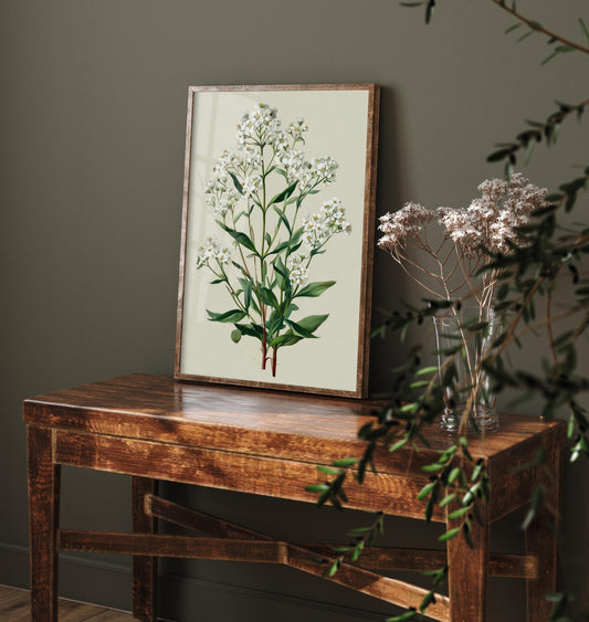 Vintage Plum Blossom or Queen Anne’s Lace Art Print, Green Poster Painting, Red Berry Heritage Wall Art 2026 V2 3/3