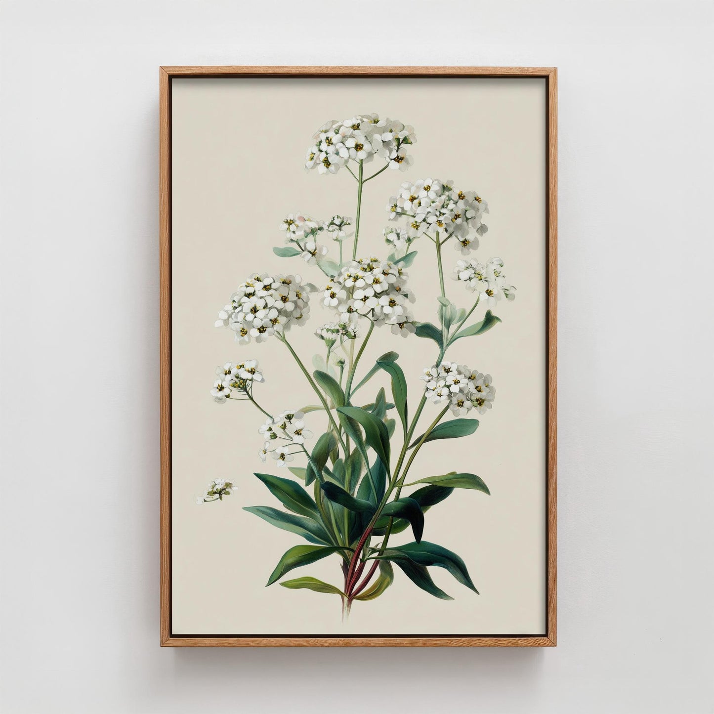 Vintage Botanical Print, Orange Sweet Alyssum Cosmos Painting, Sage Green Heritage Wall Art, Modern Floral Poster V1 2/3
