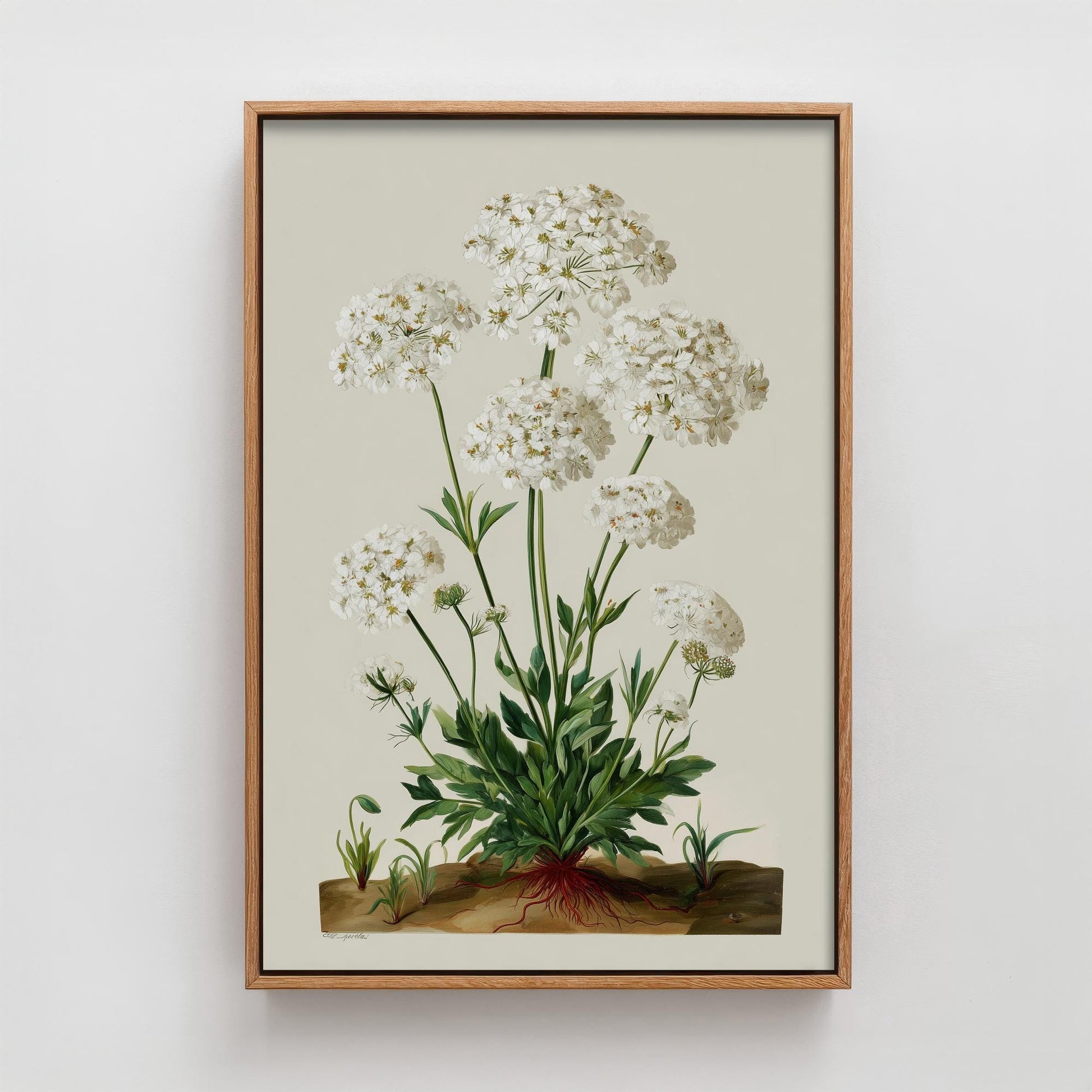 Vintage Queen Anne’s Lace Art Print, Green Poster Painting, Red Berry Heritage Wall Art 2026 V2 2/3