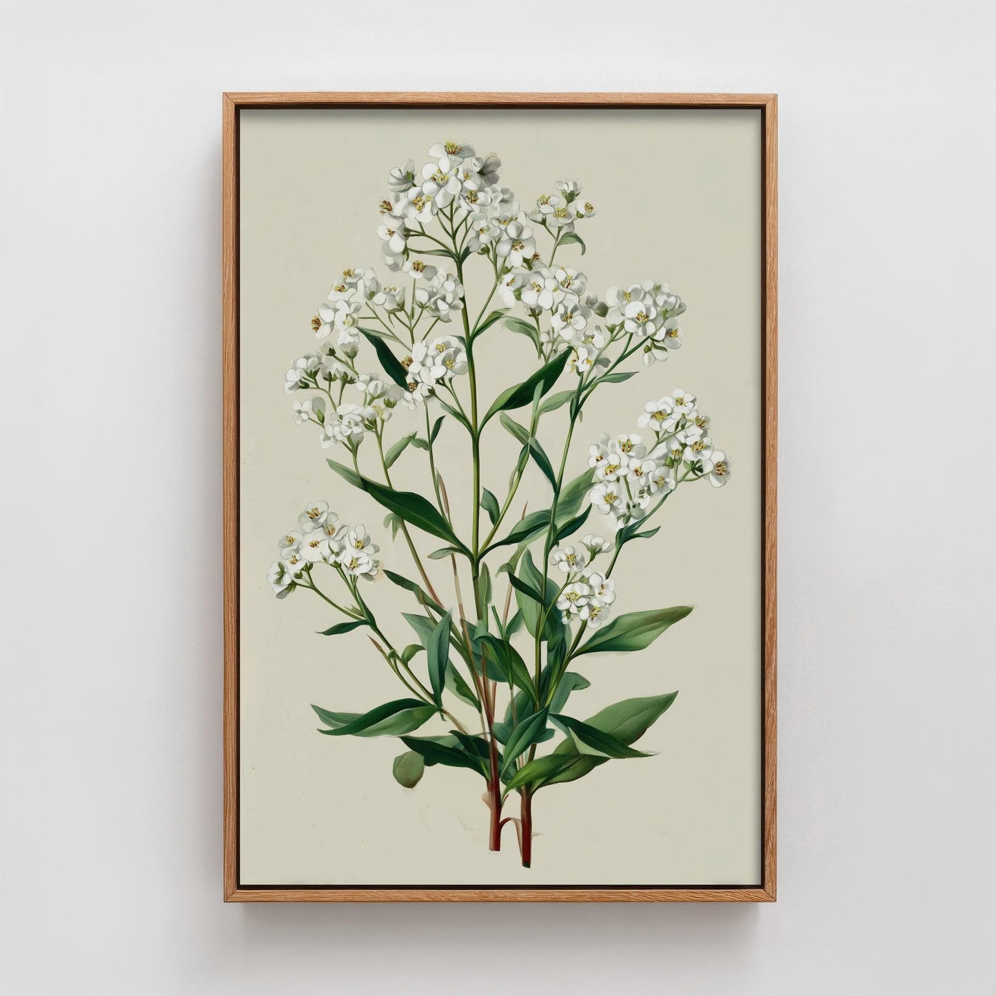 Vintage Plum Blossom or Queen Anne’s Lace Art Print, Green Poster Painting, Red Berry Heritage Wall Art 2026 V2 3/3