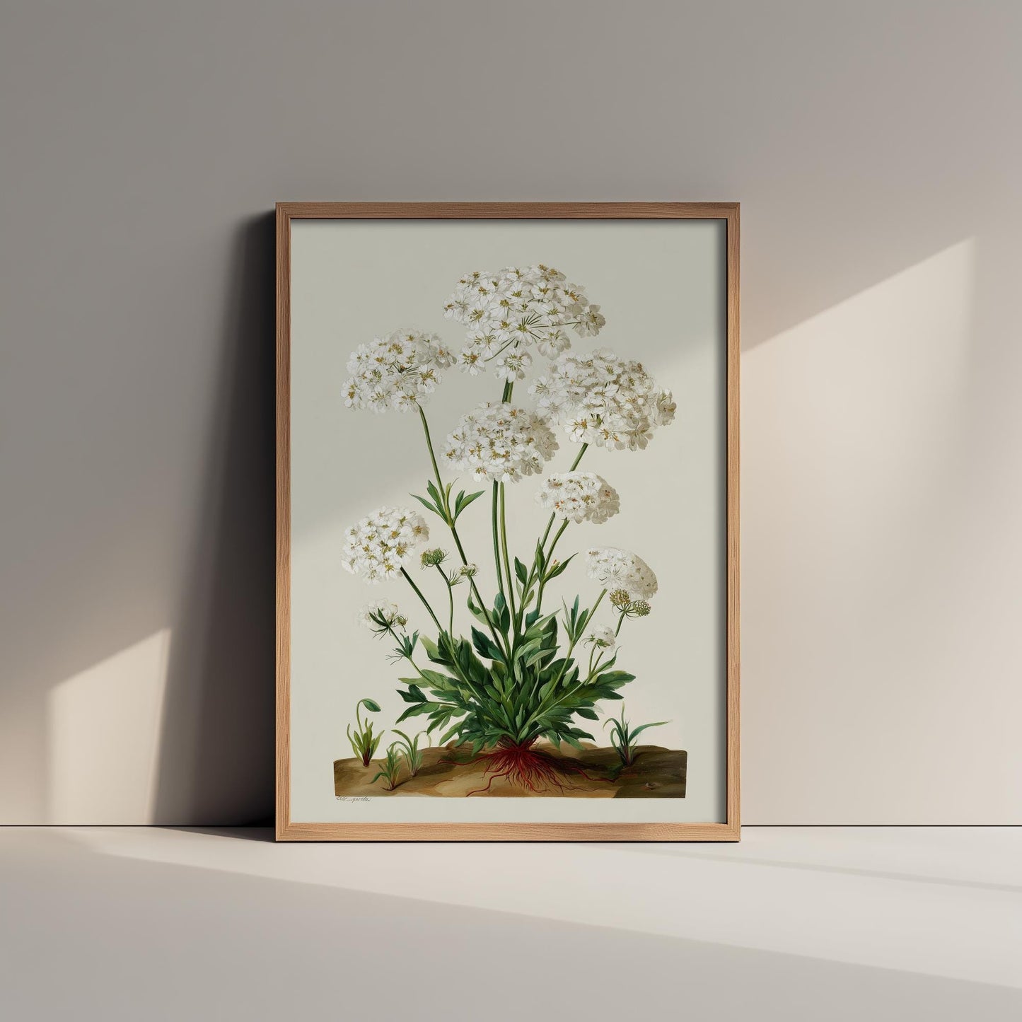 Vintage Queen Anne’s Lace Art Print, Green Poster Painting, Red Berry Heritage Wall Art 2026 V2 2/3
