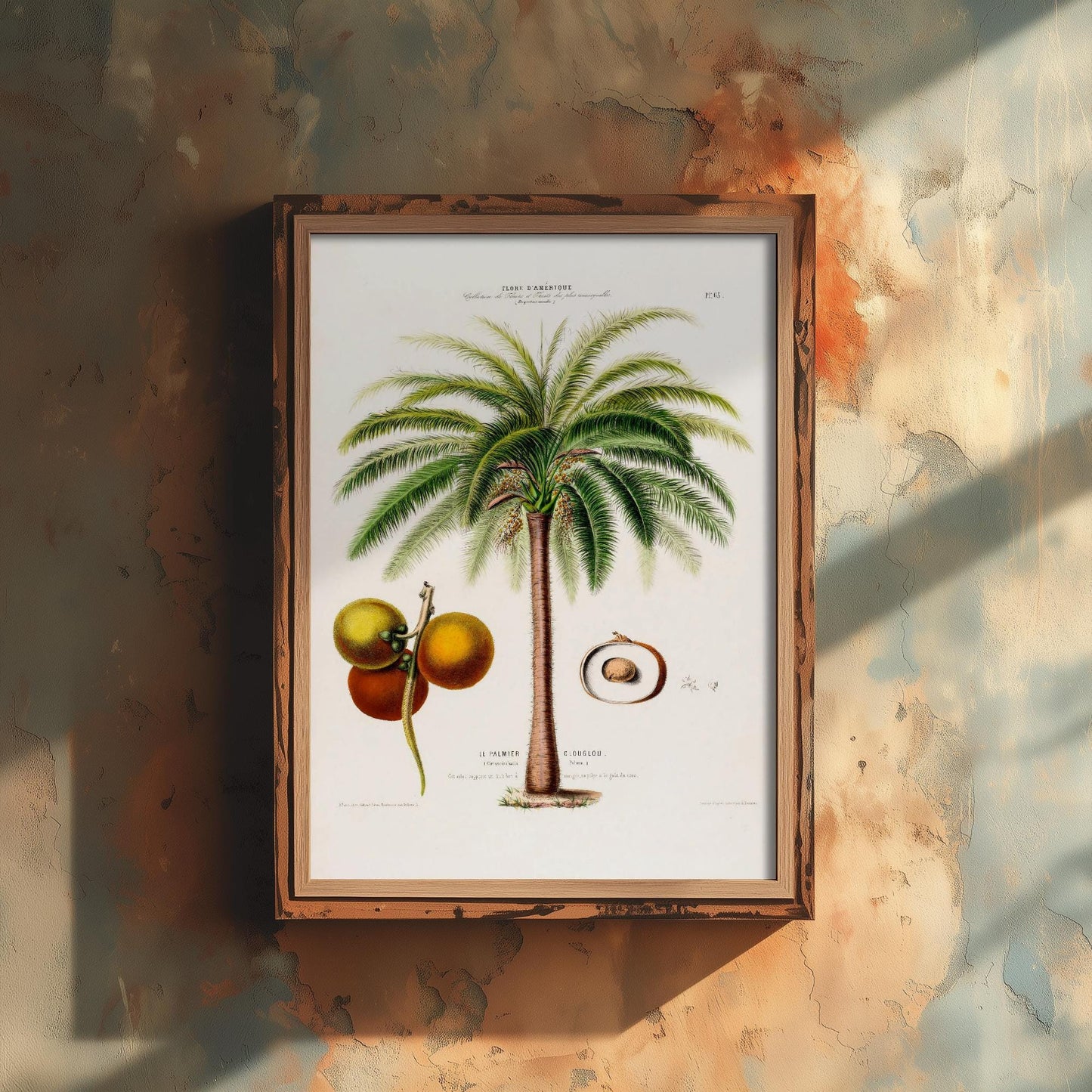 Palm Tree Vintage Illustration - Old Antique Style Poster - Gift Animal Art Print