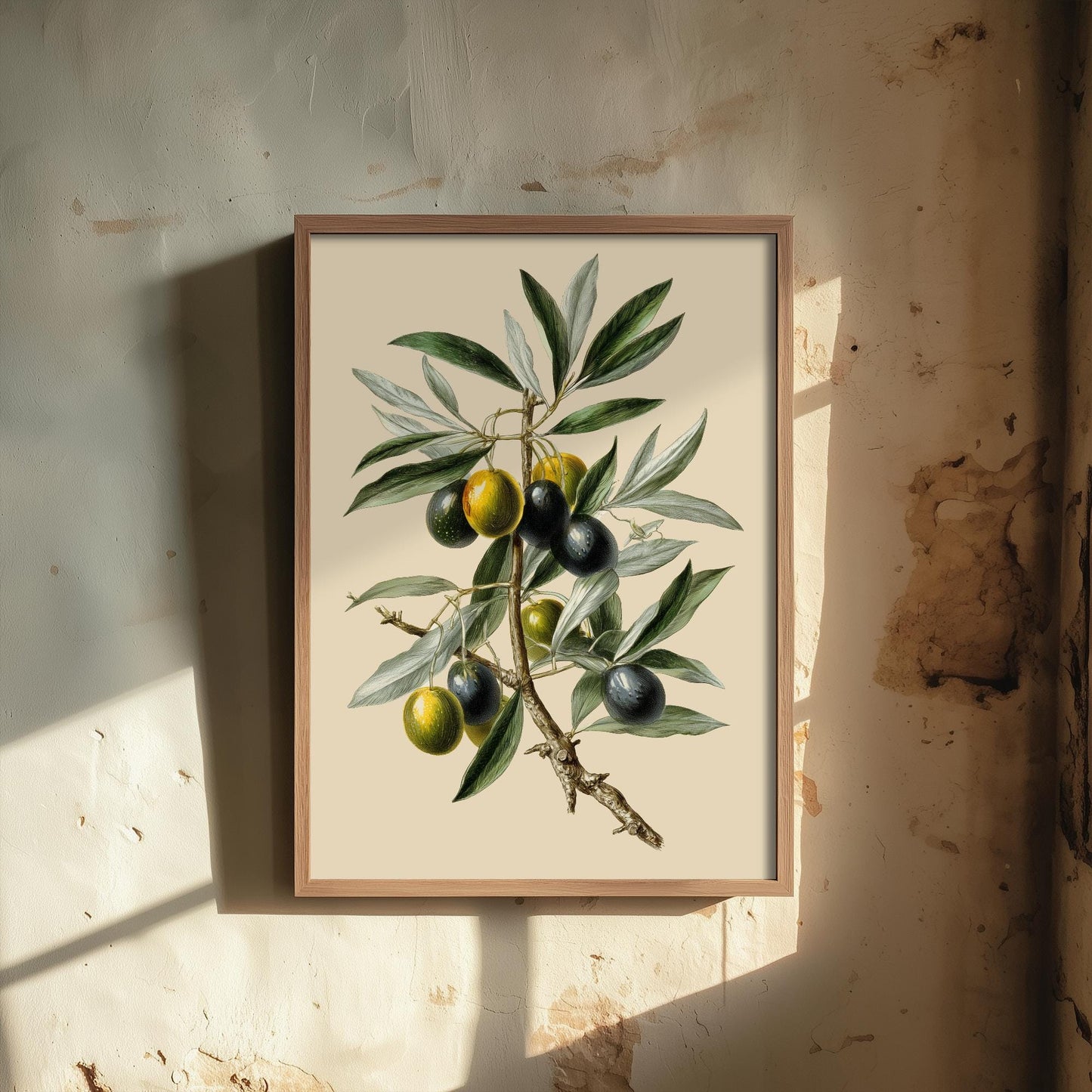 Olives Vintage Botanical Fruit Art Print - Painting - Poster Cooking Kitchen