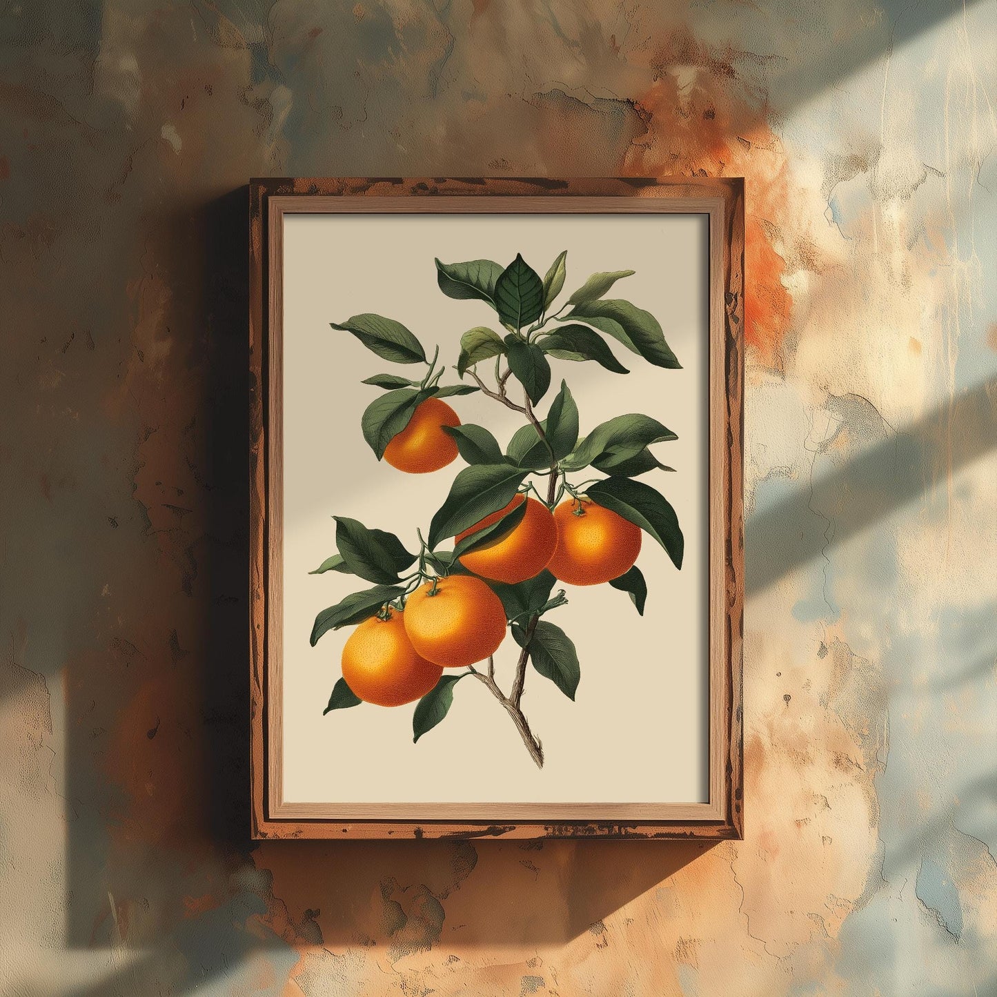 Oranges Vintage Botanical Fruit Art Print - Painting - Poster Cooking Kitchen