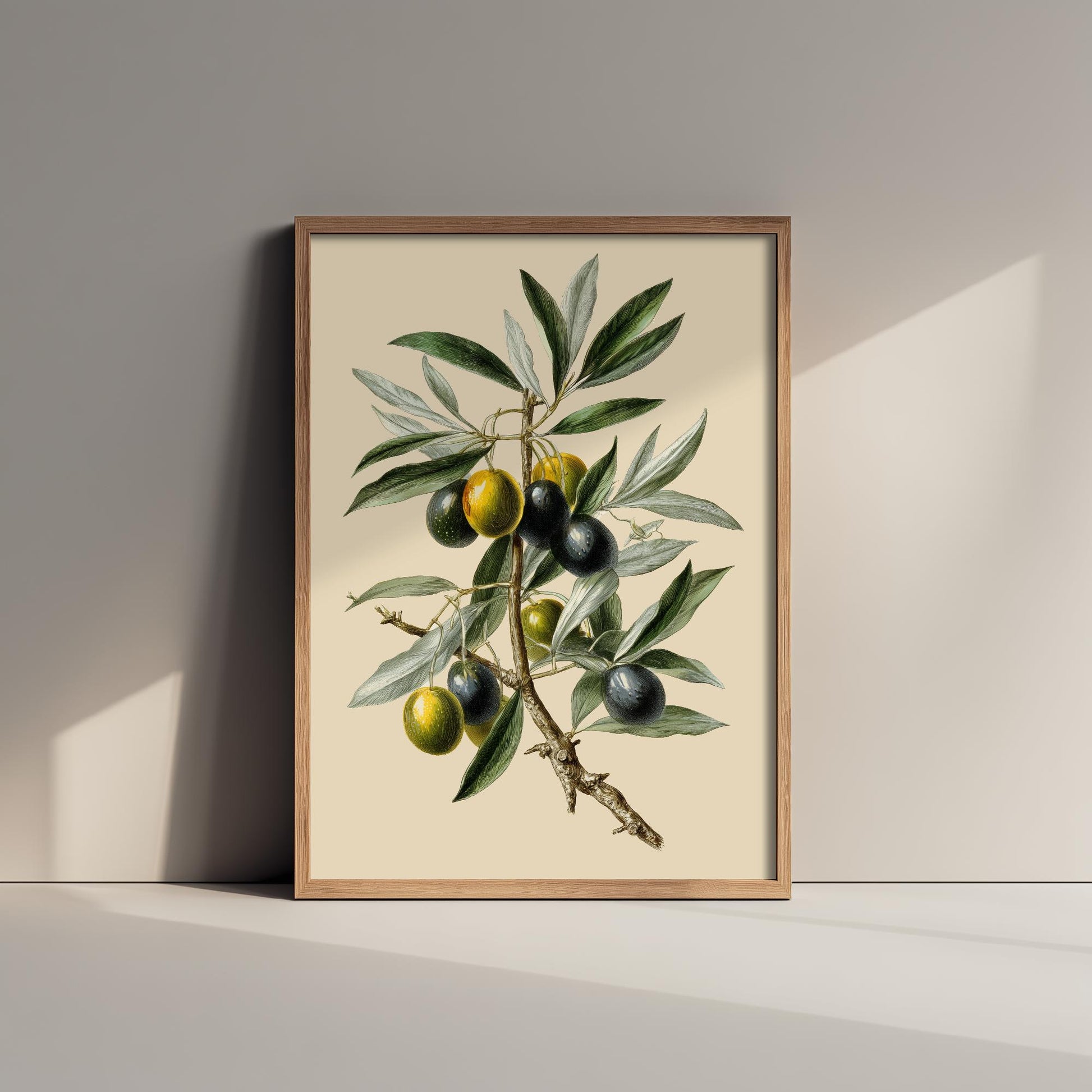 Olives Vintage Botanical Fruit Art Print - Painting - Poster Cooking Kitchen