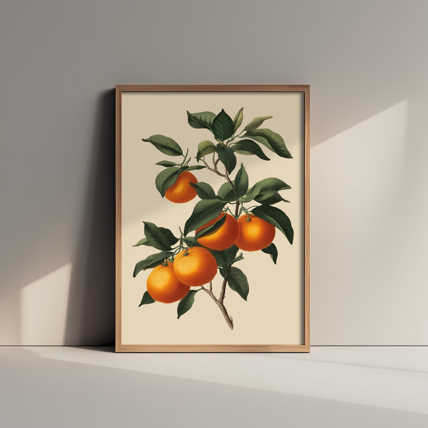 Oranges Vintage Botanical Fruit Art Print - Painting - Poster Cooking Kitchen