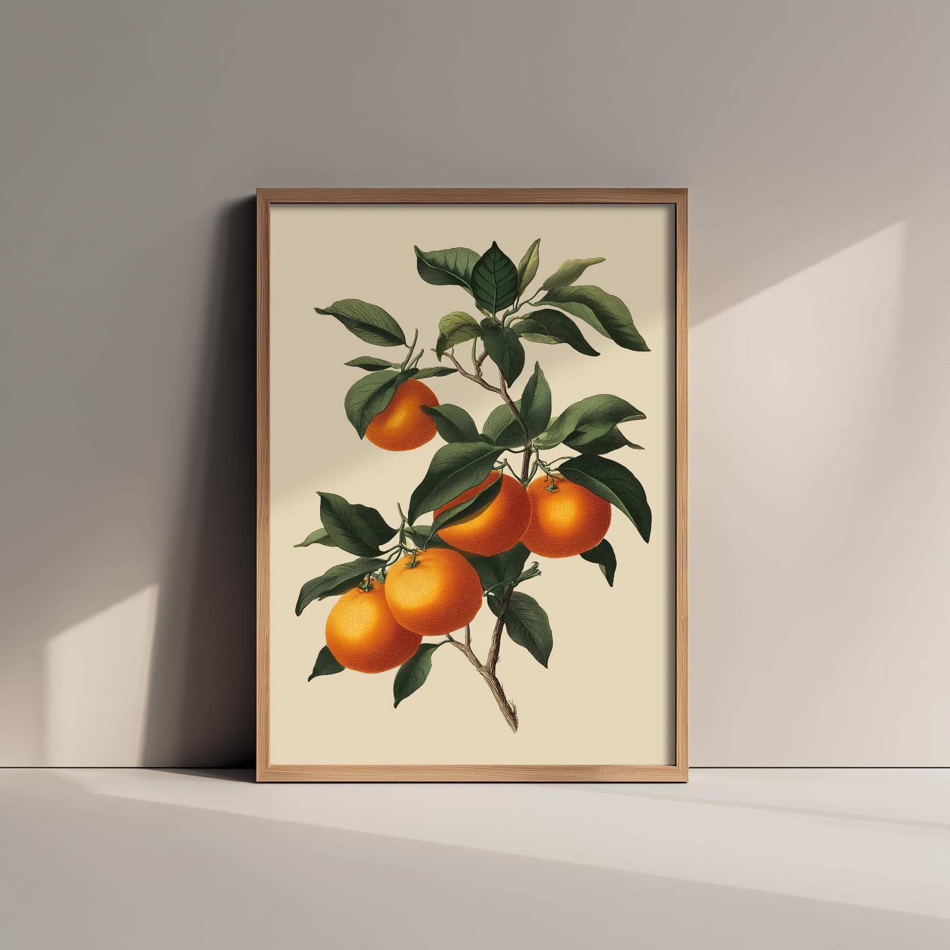 Oranges Vintage Botanical Fruit Art Print - Painting - Poster Cooking Kitchen