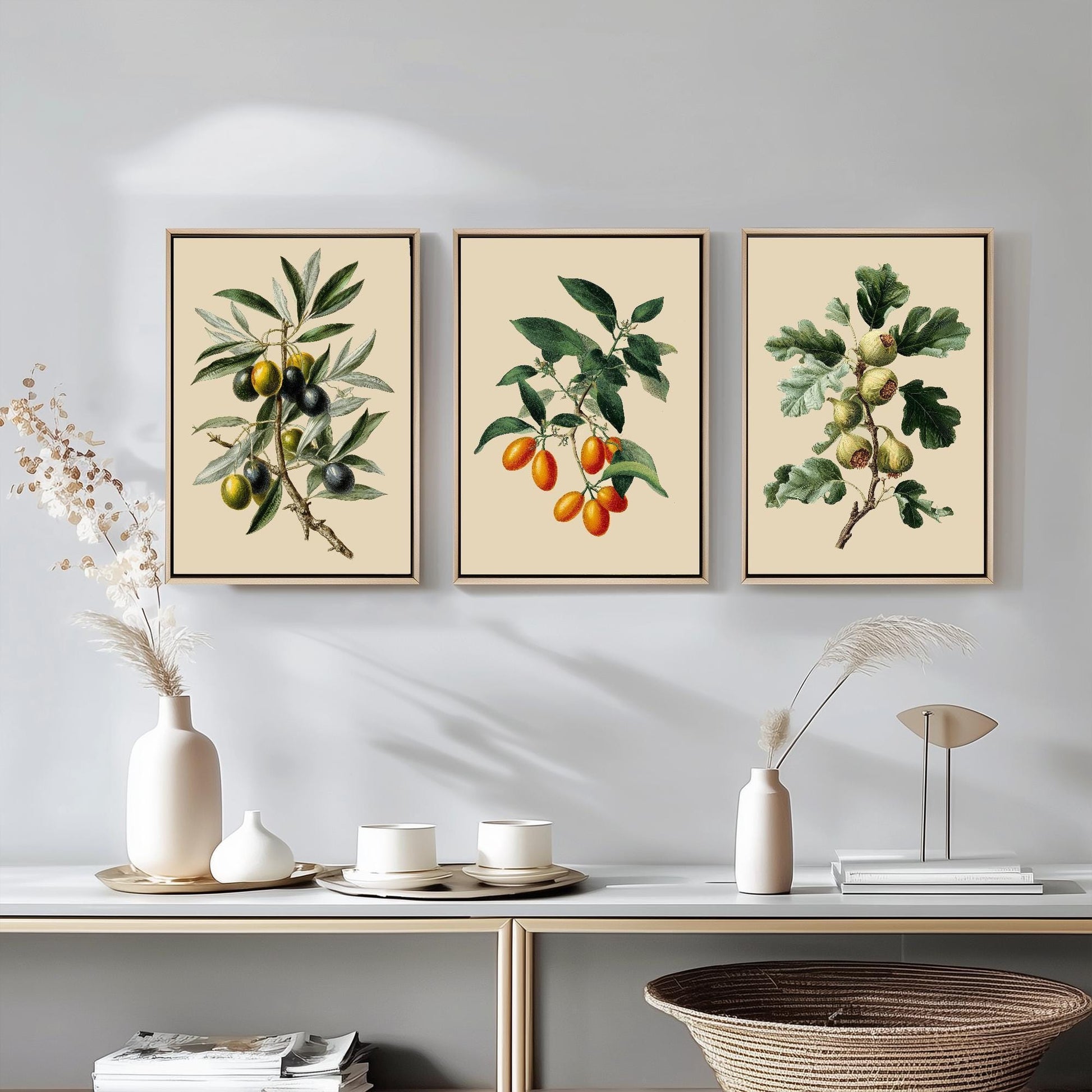 Set of Three Vintage Botanical Fruit Art Prints - 3 Paintings of Olives, Kumquats and Figs - Poster Cooking Kitchen