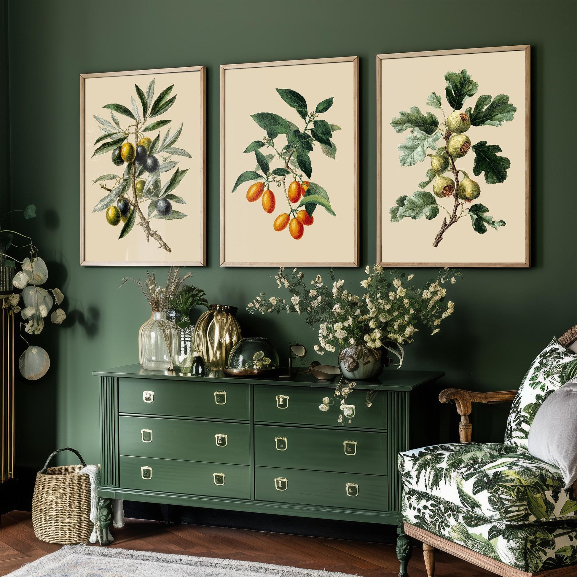 Set of Three Vintage Botanical Fruit Art Prints - 3 Paintings of Olives, Kumquats and Figs - Poster Cooking Kitchen