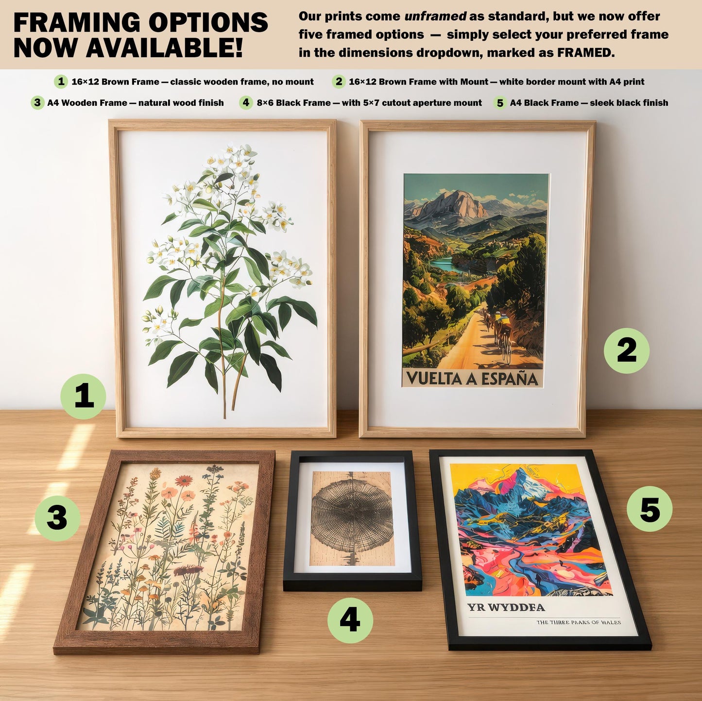 a collection of framed artworks and prints, including botanical illustrations, landscape scenes, and abstract art, arranged on a wooden surface.