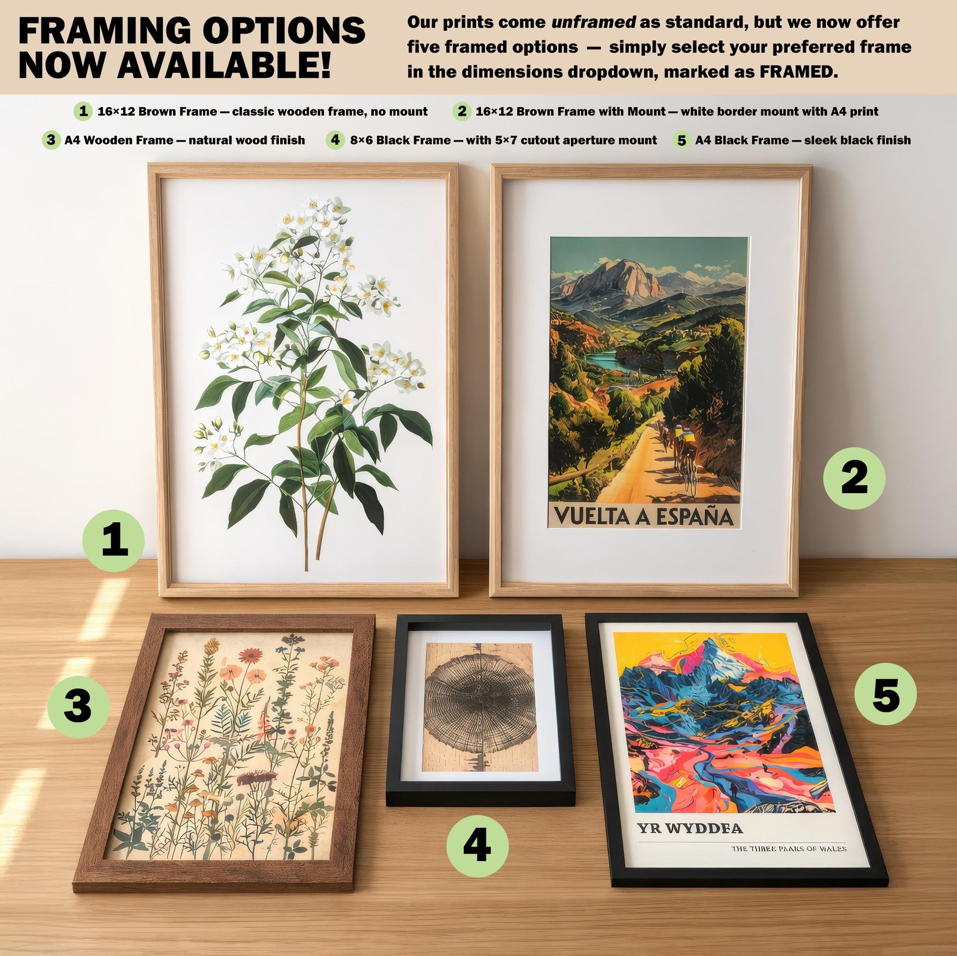 a collection of framed artworks and prints, including botanical illustrations, landscape scenes, and abstract art, arranged on a wooden surface.