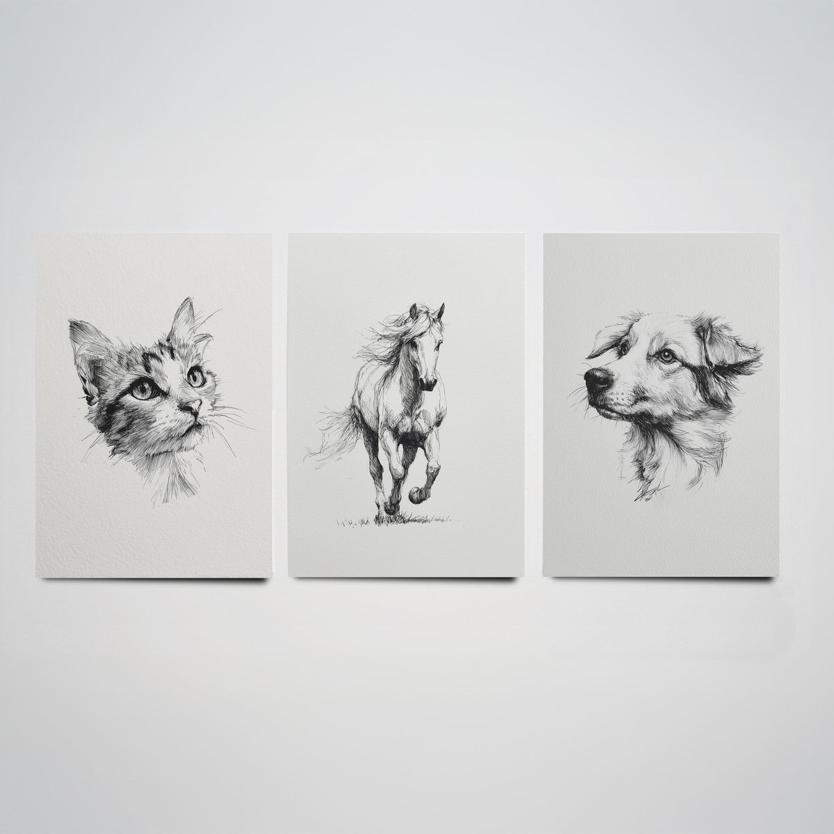 Cat Horse Dog Set of Three Ink Drawing Art Prints - 3 Pen and Ink Animal Sketches - Poster Wall Art Gift Illustration Pet Lover Monochrome