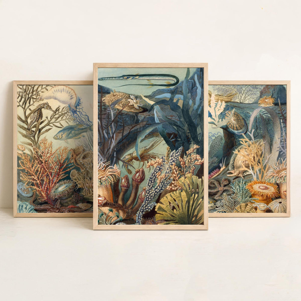 James Sommerville Ocean Life Set of Three Art Prints - Victorian Undersea Lithographs - Natural History Illustration Poster