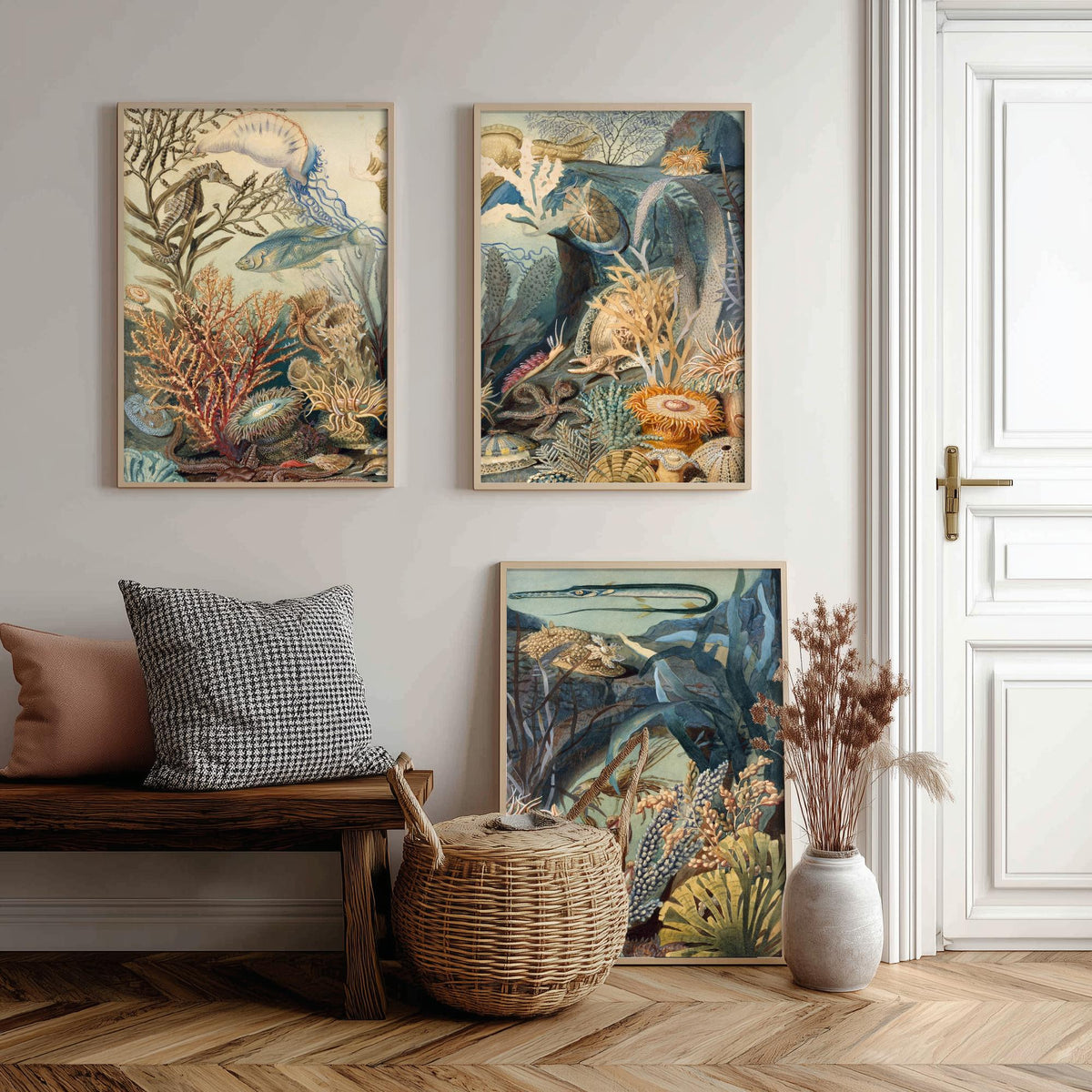 James Sommerville Ocean Life Set of Three Art Prints - Victorian Undersea Lithographs - Natural History Illustration Poster