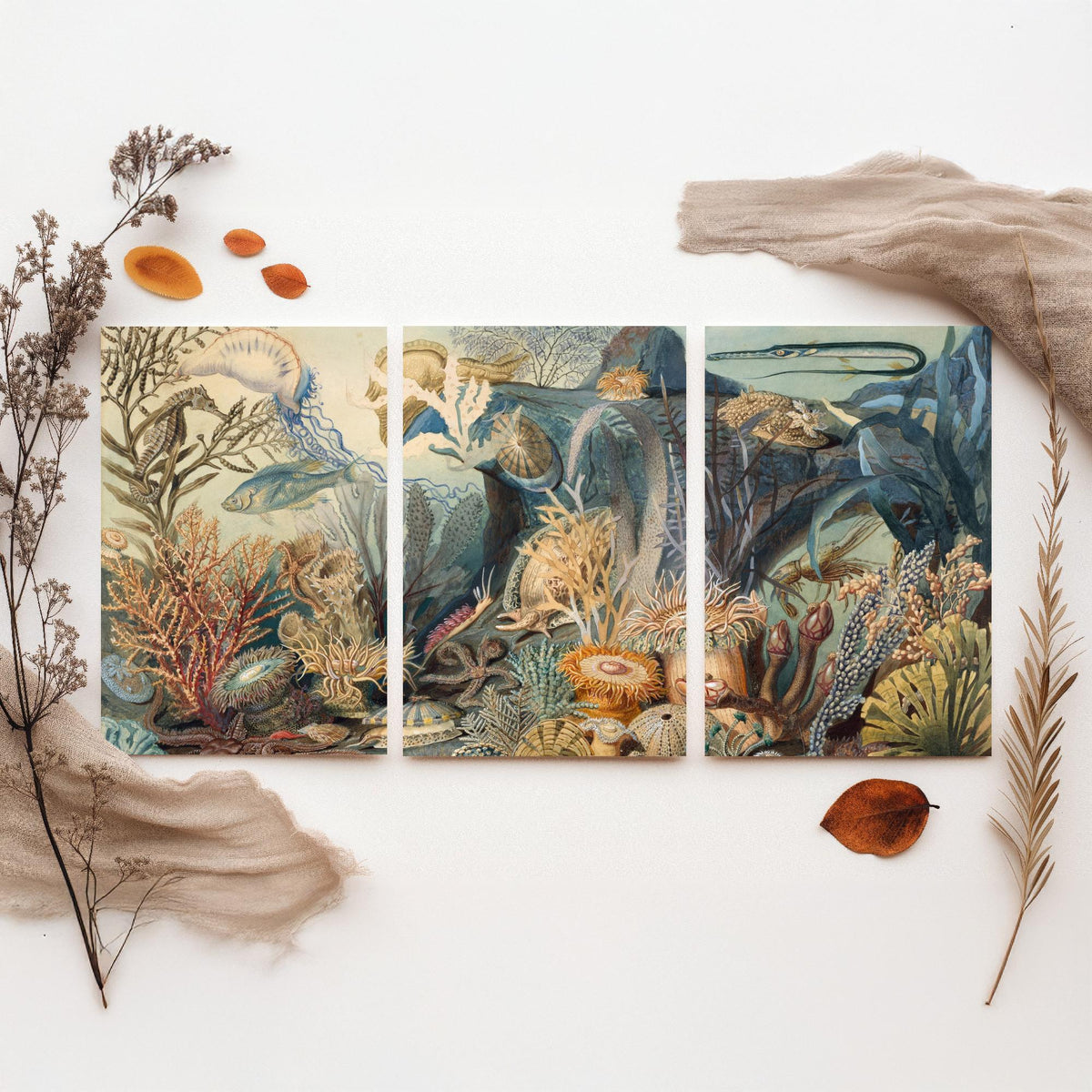 James Sommerville Ocean Life Set of Three Art Prints - Victorian Undersea Lithographs - Natural History Illustration Poster