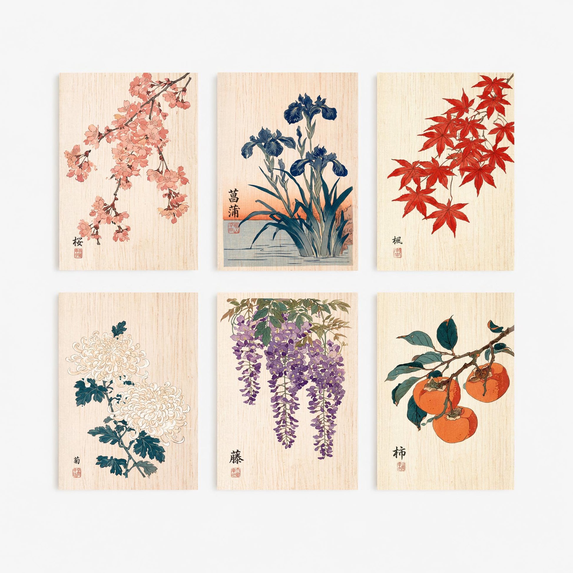 Set of Six Japanese Woodblock Art Prints - 6 Woodcut Botanicals - Cherry Blossom, Iris, Maple, Chrysanthemum, Wisteria, Persimmon - Poster