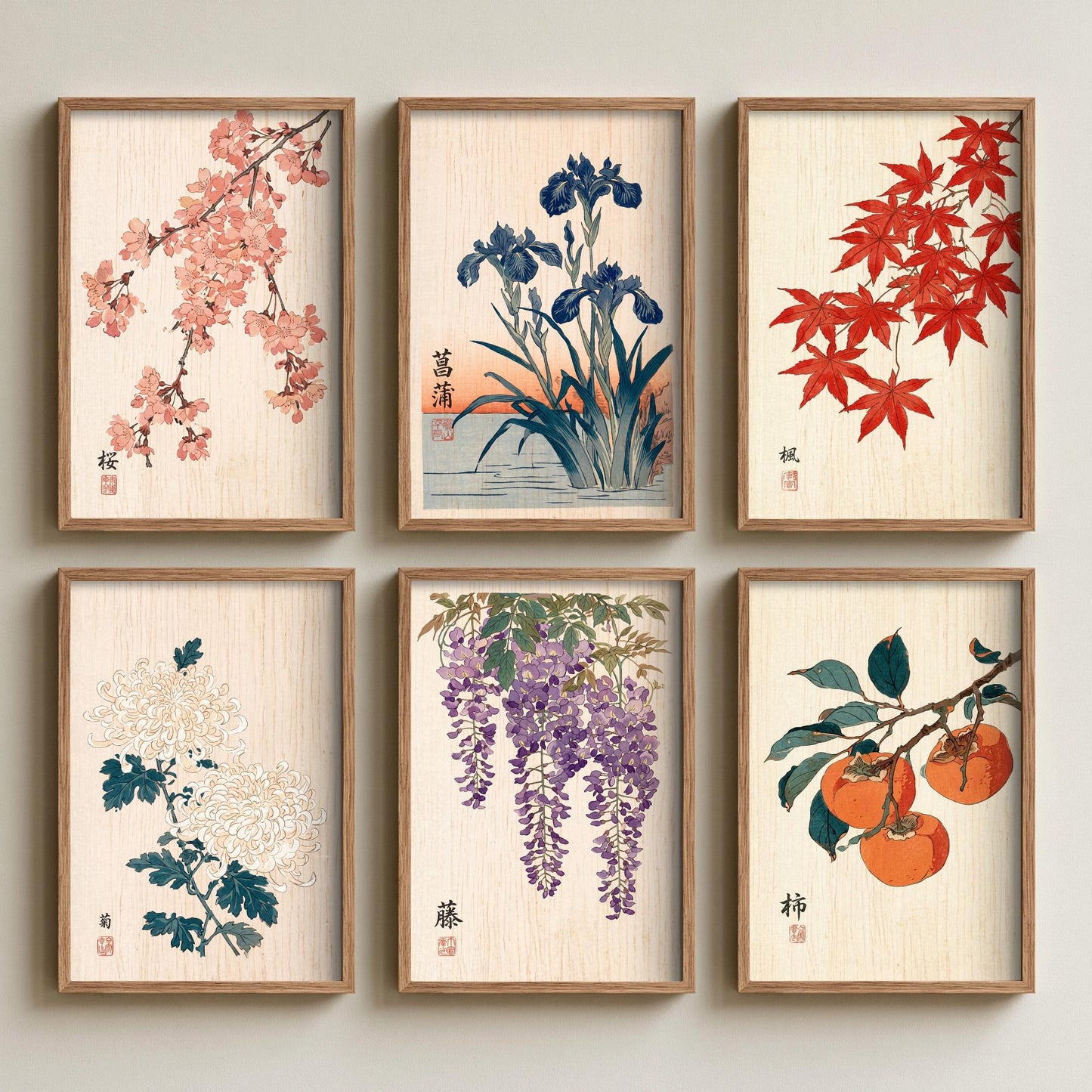 Set of Six Japanese Woodblock Art Prints - 6 Woodcut Botanicals - Cherry Blossom, Iris, Maple, Chrysanthemum, Wisteria, Persimmon - Poster