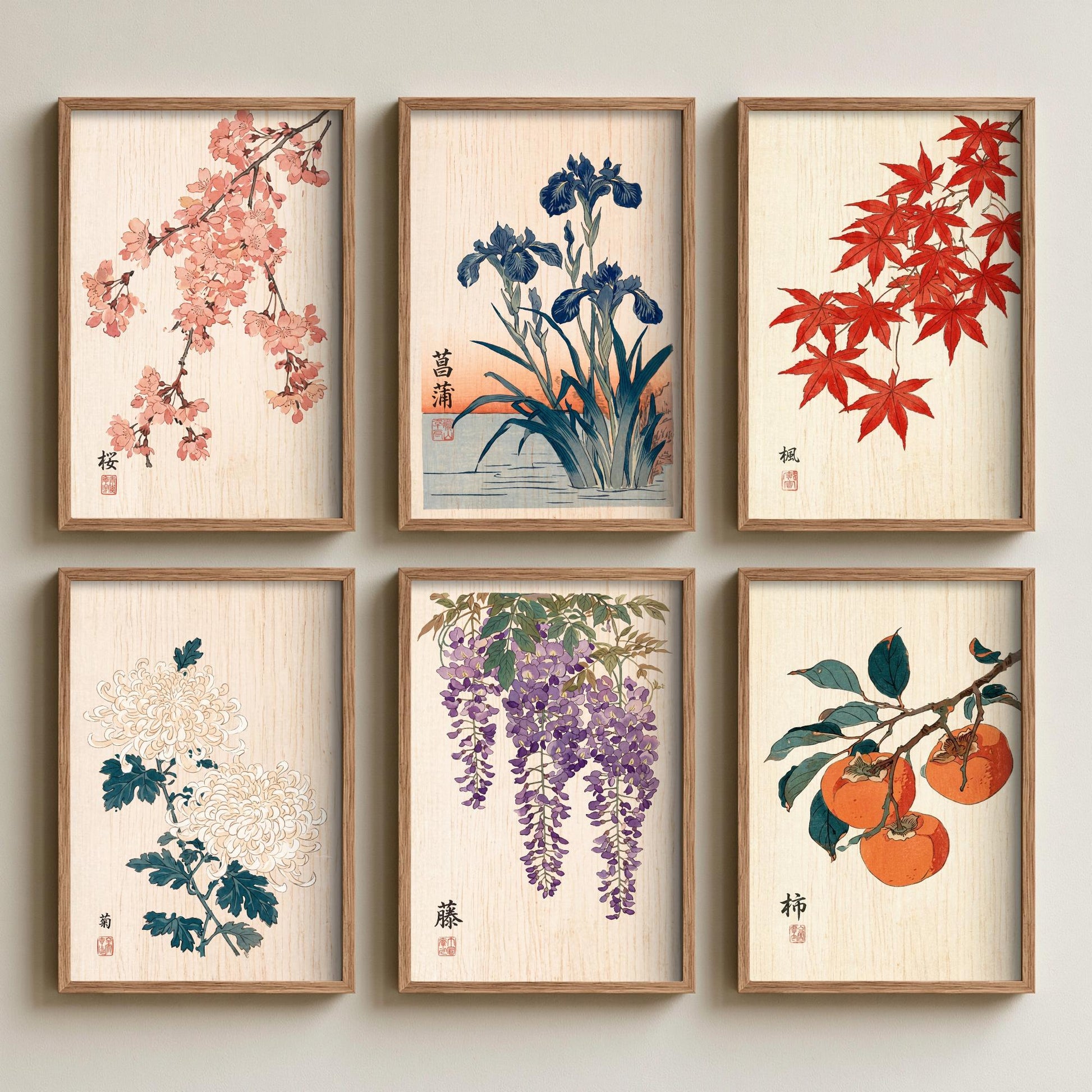 Set of Six Japanese Woodblock Art Prints - 6 Woodcut Botanicals - Cherry Blossom, Iris, Maple, Chrysanthemum, Wisteria, Persimmon - Poster