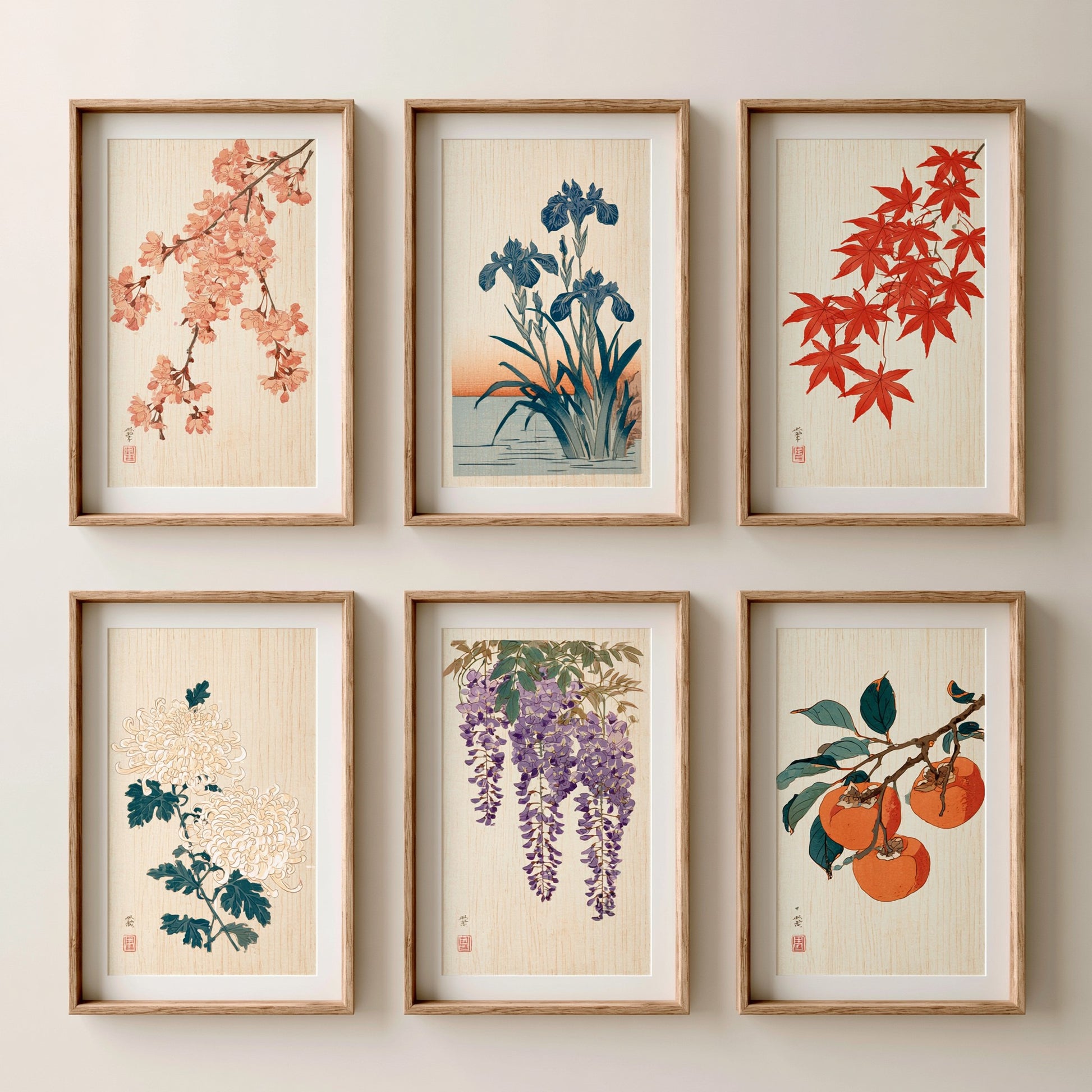 Set of Six Japanese Woodblock Art Prints - 6 Woodcut Botanicals - Cherry Blossom, Iris, Maple, Chrysanthemum, Wisteria, Persimmon - Poster