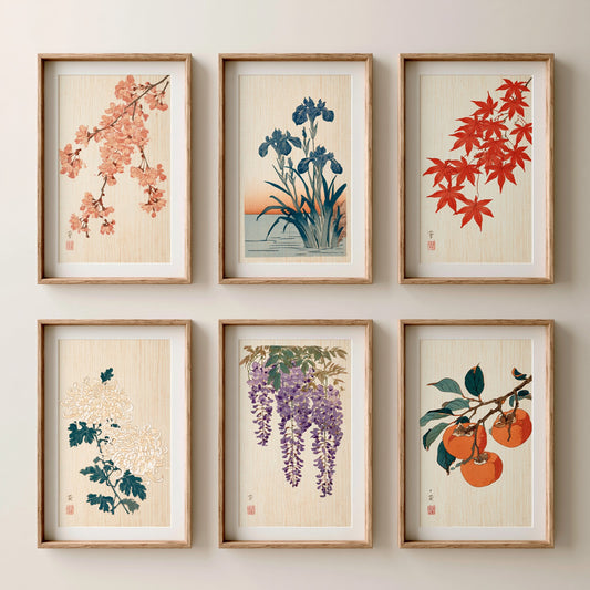 Set of Six Japanese Woodblock Art Prints - 6 Woodcut Botanicals - Cherry Blossom, Iris, Maple, Chrysanthemum, Wisteria, Persimmon - Poster