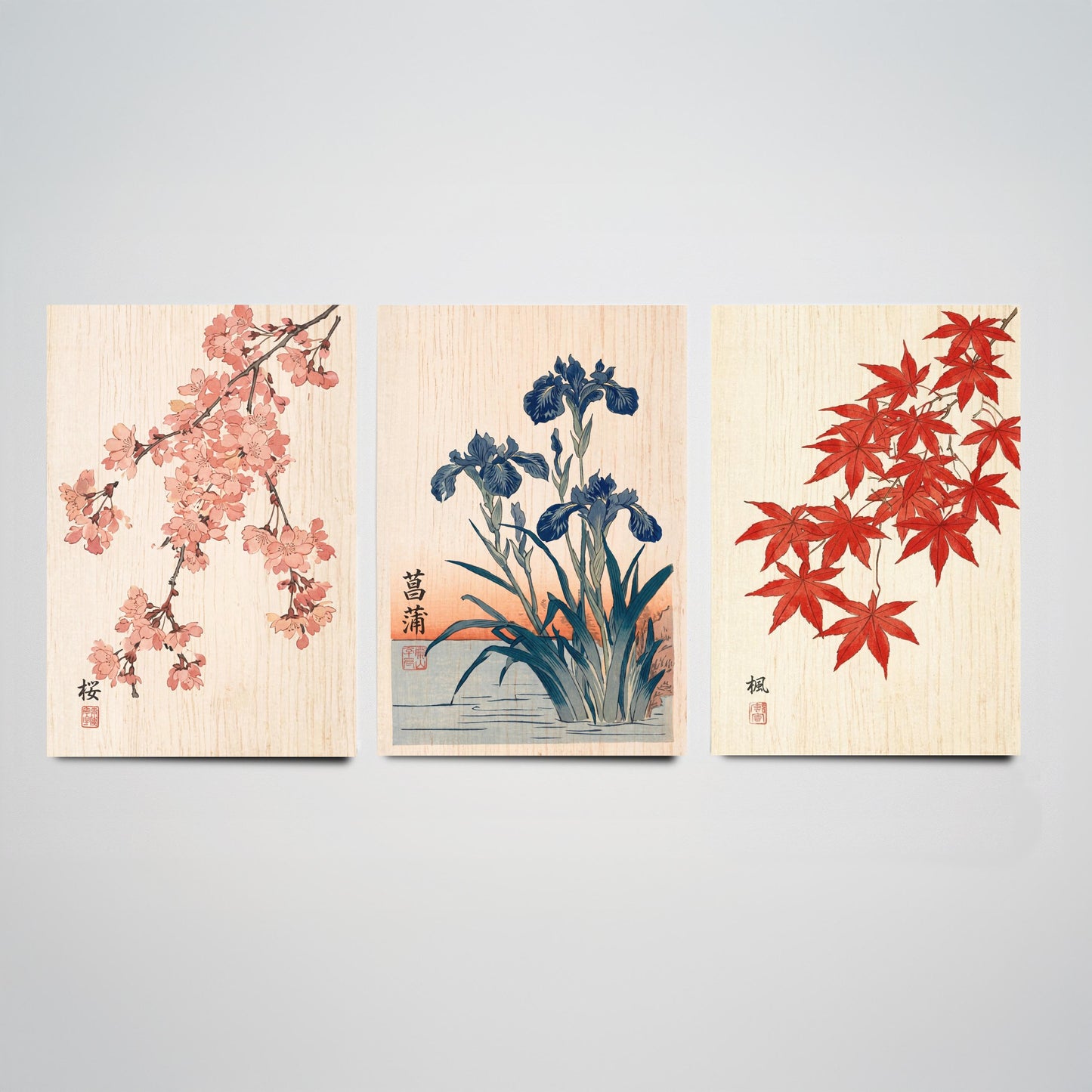 Japanese Botanical Set of Three Art Prints - Cherry Blossom, Iris, Red Maple - Woodblock Style Posters - Japandi Wall Decor V1