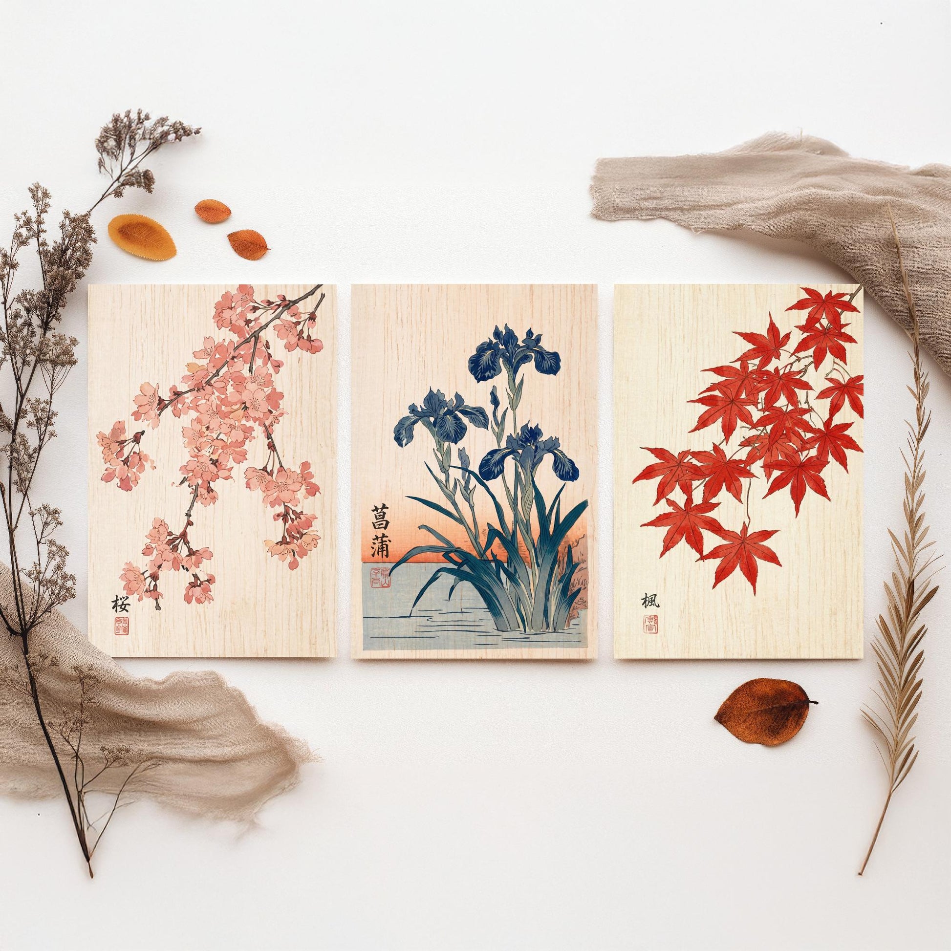 Japanese Botanical Set of Three Art Prints - Cherry Blossom, Iris, Red Maple - Woodblock Style Posters - Japandi Wall Decor V1