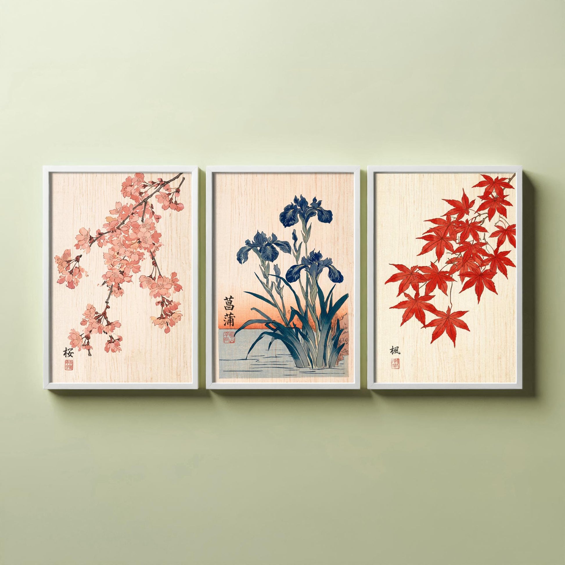 Japanese Botanical Set of Three Art Prints - Cherry Blossom, Iris, Red Maple - Woodblock Style Posters - Japandi Wall Decor V1