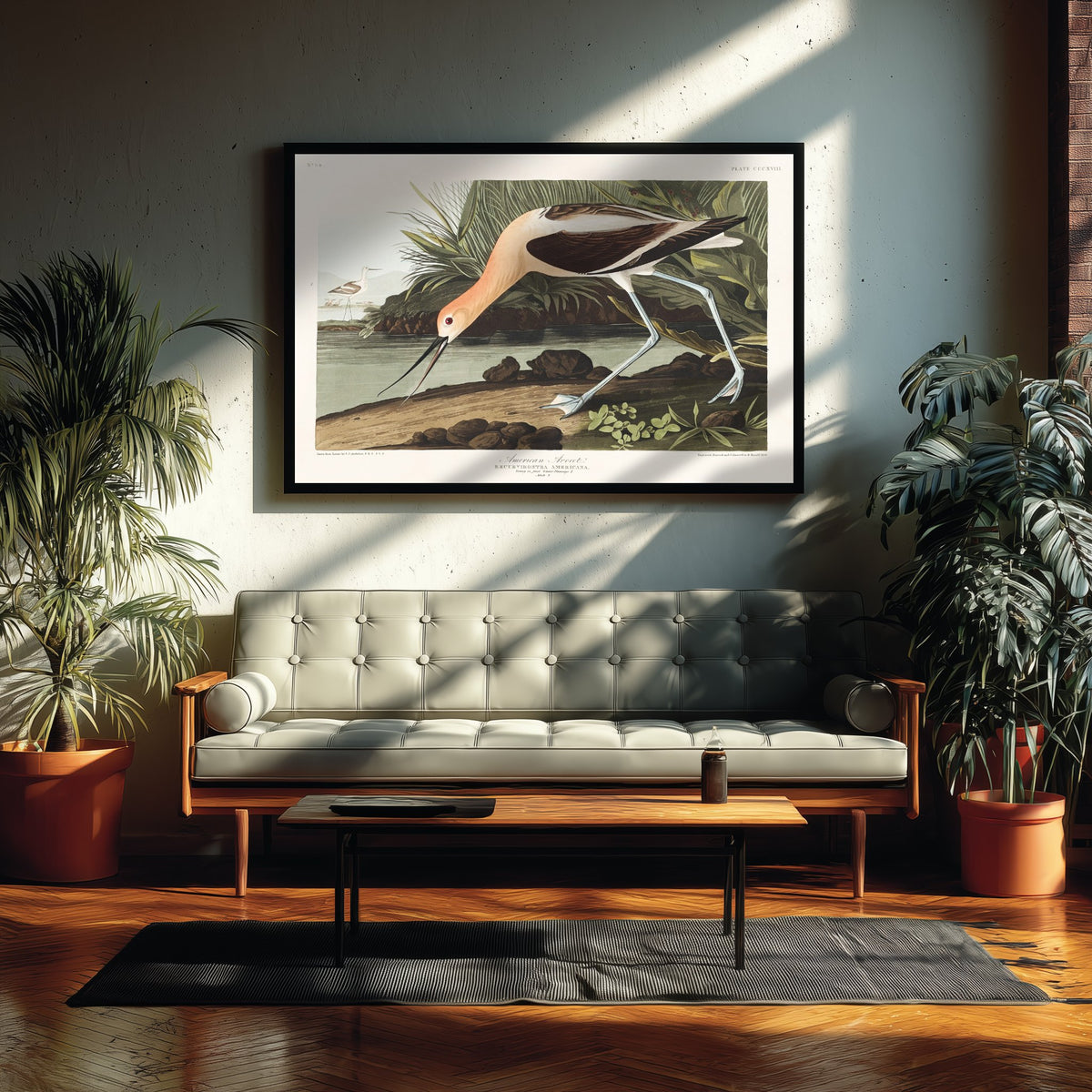 American Avocet Art Print - John James Audubon Poster - Birds of America Vintage Illustration
