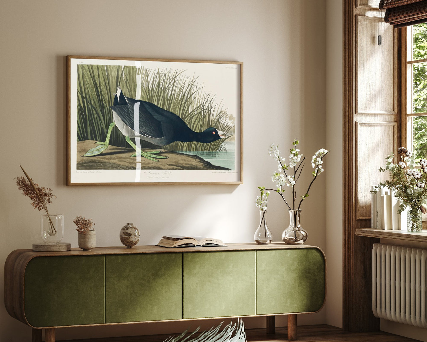 American Coot Art Print - John James Audubon Poster - Birds of America Vintage Illustration