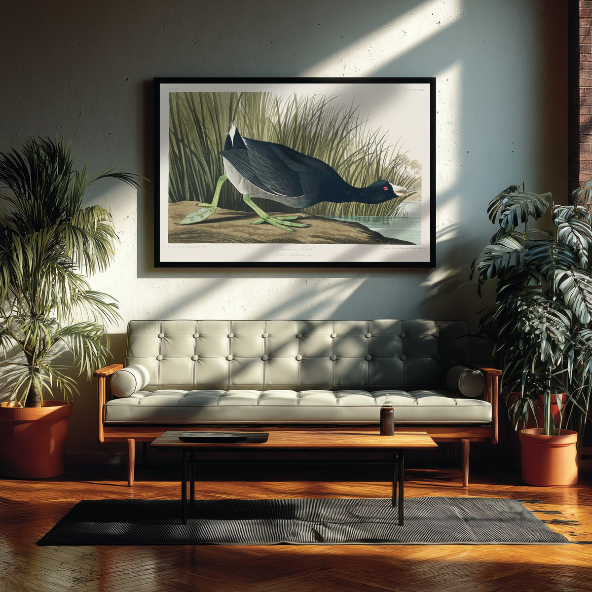 American Coot Art Print - John James Audubon Poster - Birds of America Vintage Illustration