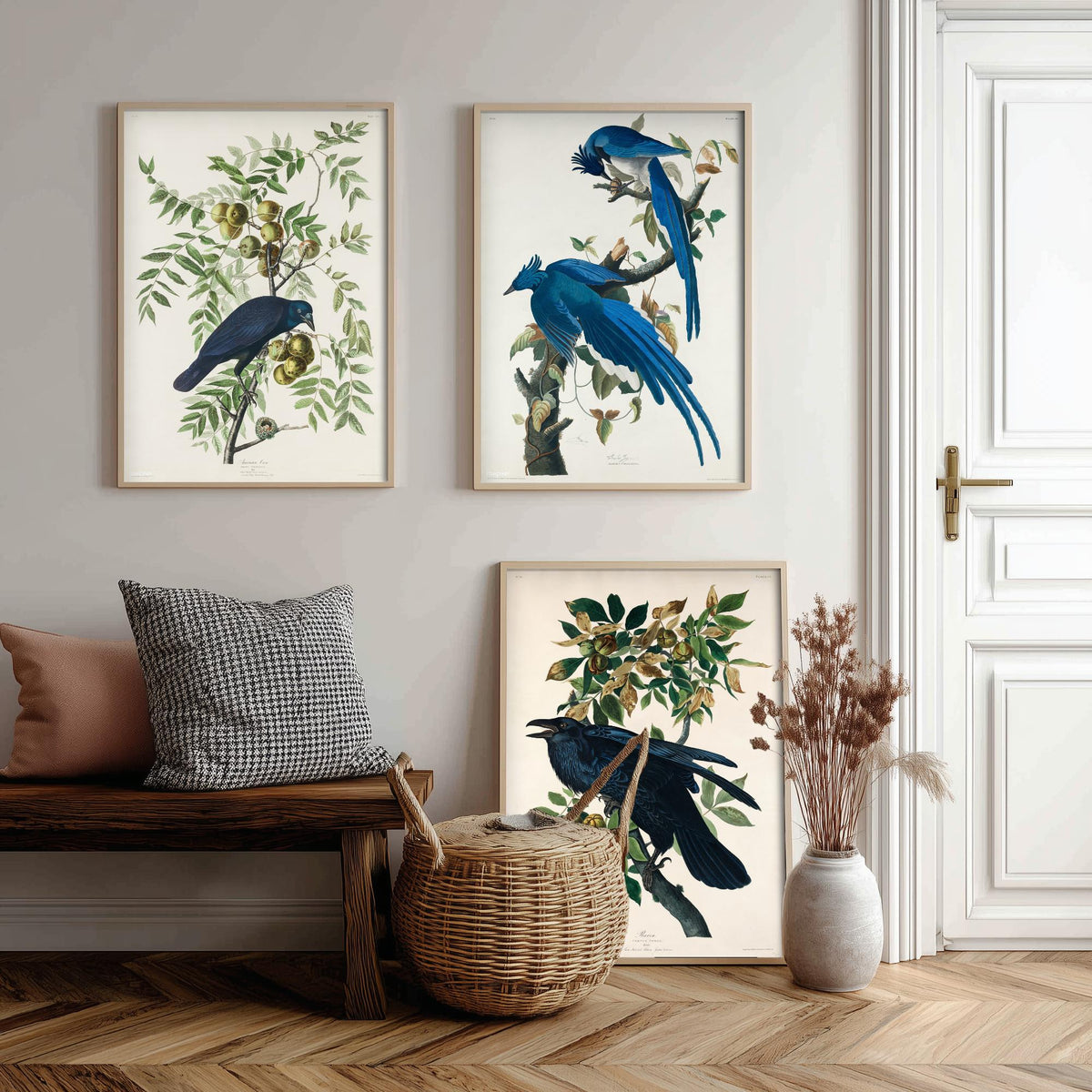 Set of Three John James Audubon Prints - American Crow Columbia Jay Raven - 3 Bird Paintings Poster Wall Art Gift Illustration