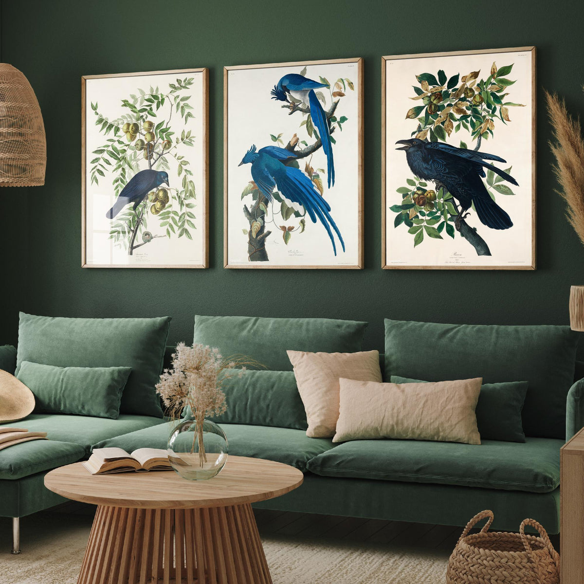 Set of Three John James Audubon Prints - American Crow Columbia Jay Raven - 3 Bird Paintings Poster Wall Art Gift Illustration