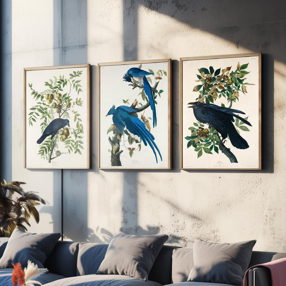 Set of Three John James Audubon Prints - American Crow Columbia Jay Raven - 3 Bird Paintings Poster Wall Art Gift Illustration
