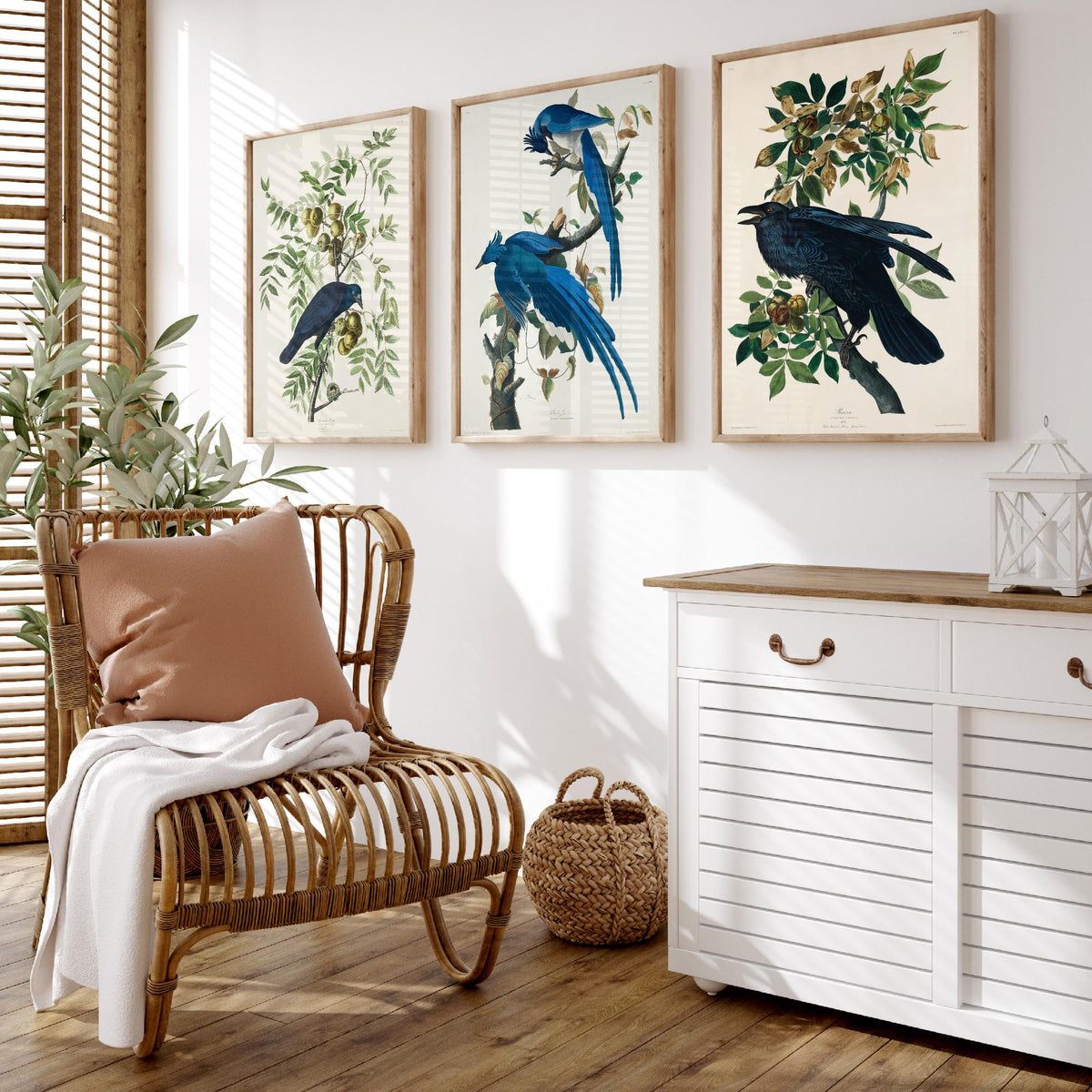 Set of Three John James Audubon Prints - American Crow Columbia Jay Raven - 3 Bird Paintings Poster Wall Art Gift Illustration