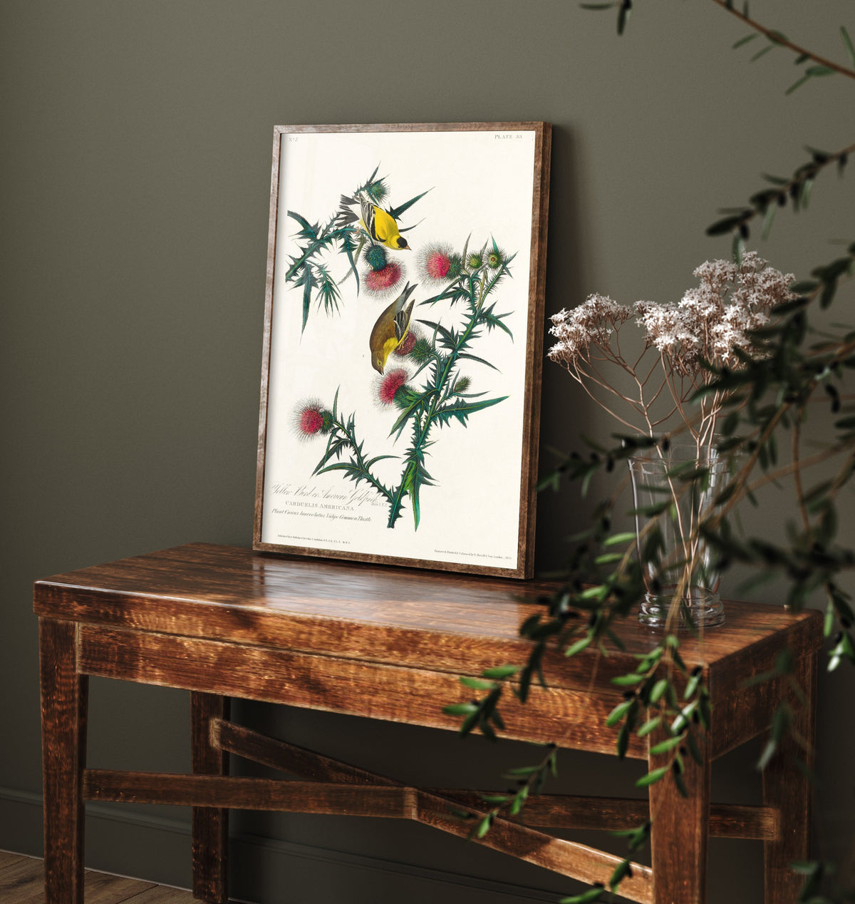 American Goldfinch Art Print - John James Audubon Poster - Birds of America Vintage Illustration