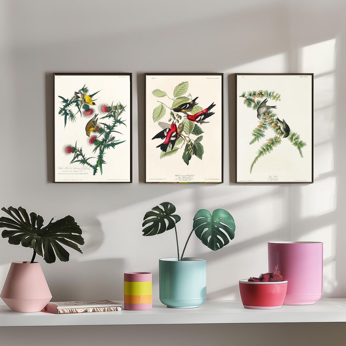 Set of Three John James Audubon Prints - American Goldfinch White-winged Crossbill Pine Siskin - 3 Bird Paintings Poster Wall Art Gift