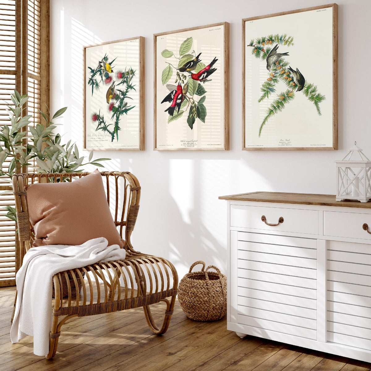 Set of Three John James Audubon Prints - American Goldfinch White-winged Crossbill Pine Siskin - 3 Bird Paintings Poster Wall Art Gift