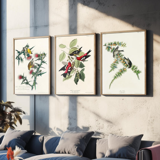 Set of Three John James Audubon Prints - American Goldfinch White-winged Crossbill Pine Siskin - 3 Bird Paintings Poster Wall Art Gift