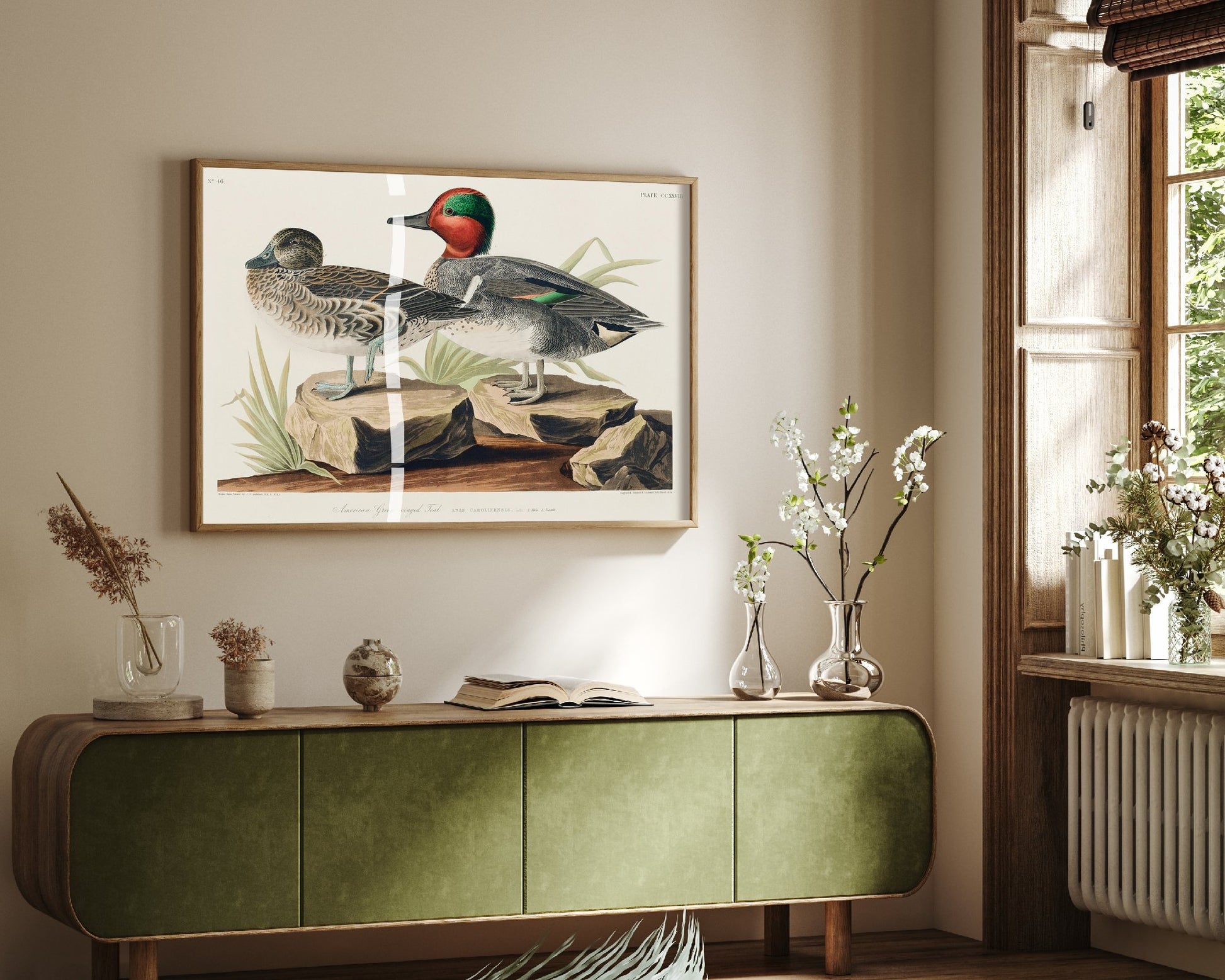 Green-winged Teal Art Print - John James Audubon Poster - Birds of America Vintage Illustration