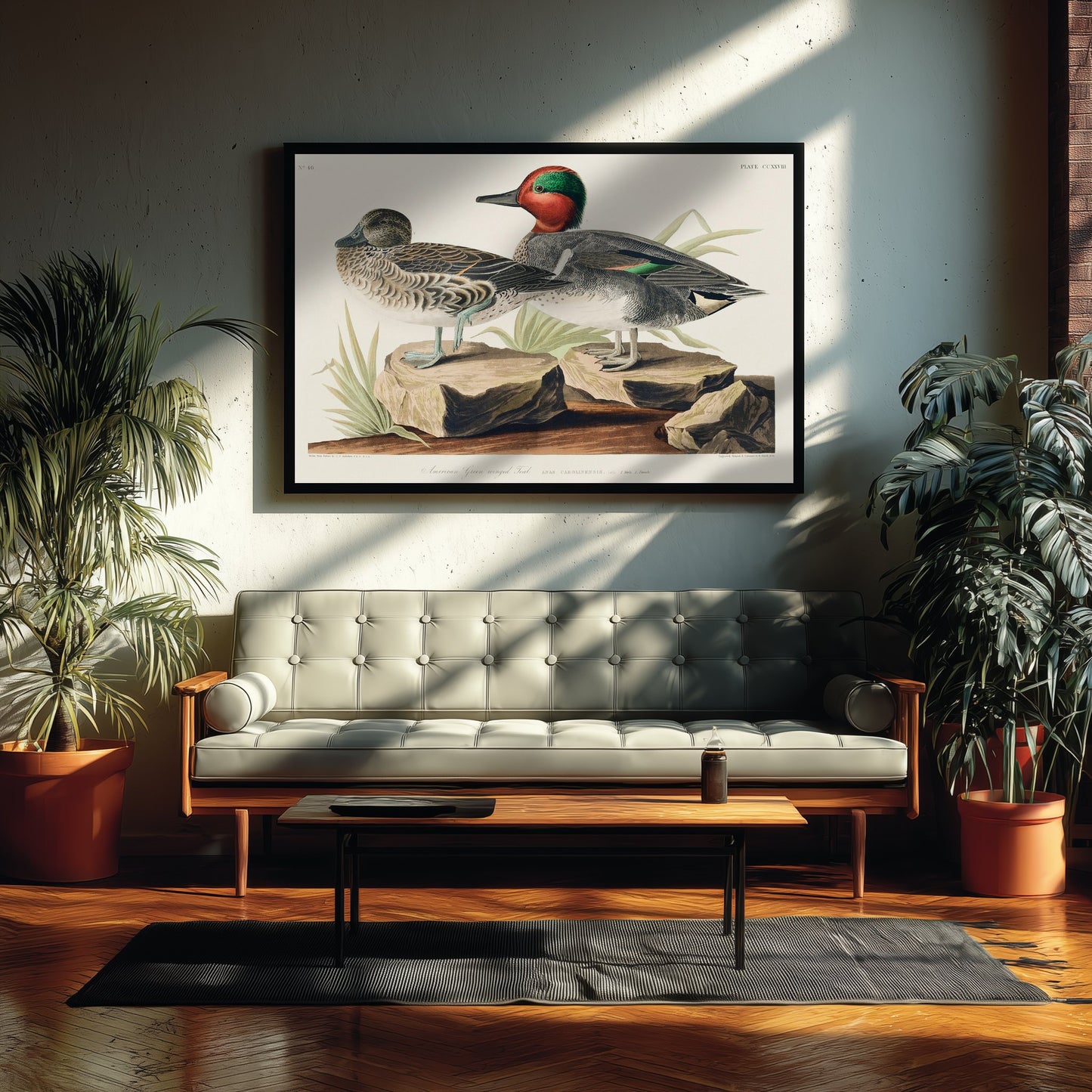Green-winged Teal Art Print - John James Audubon Poster - Birds of America Vintage Illustration
