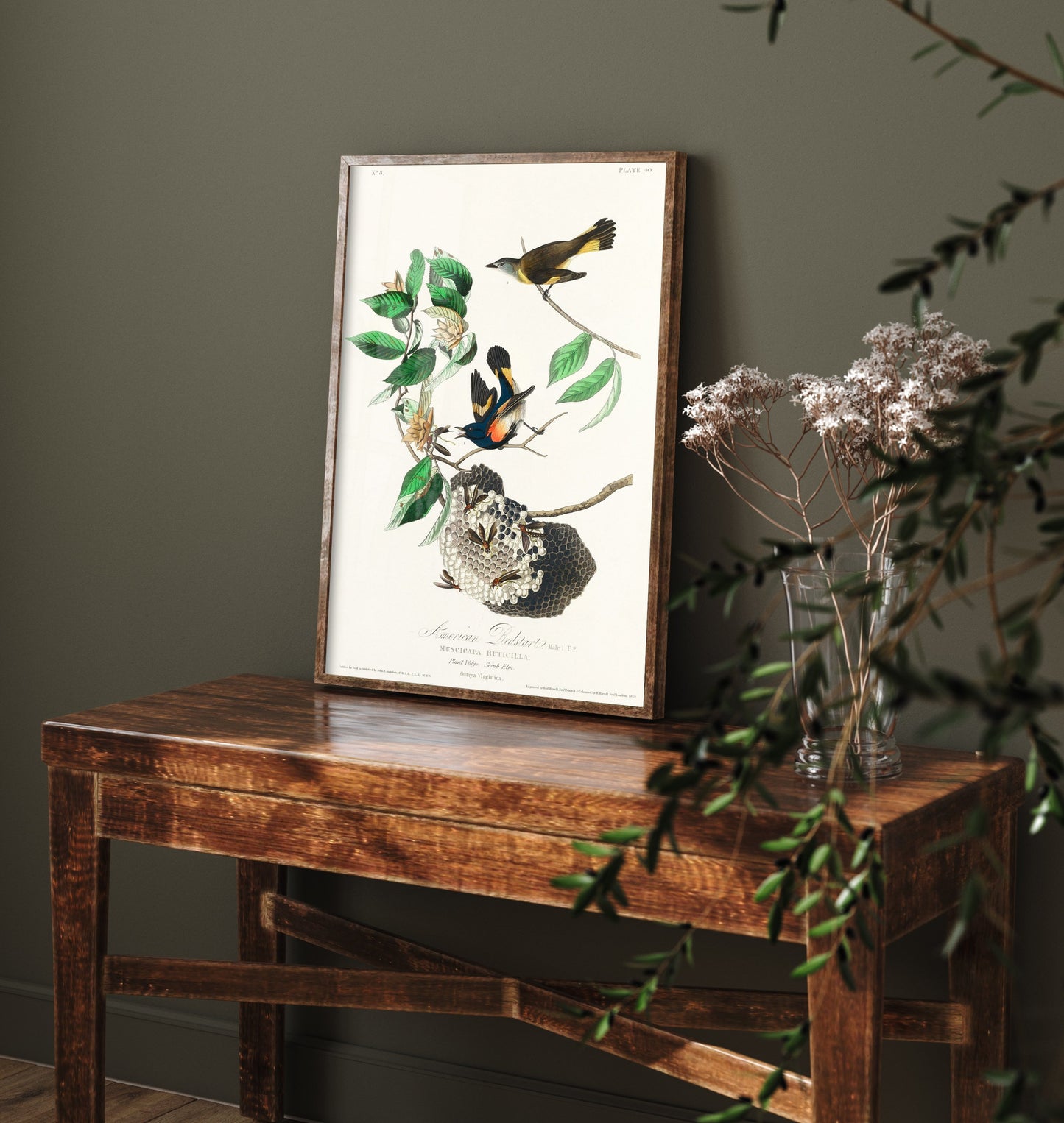 American Redstart Art Print - John James Audubon Poster - Birds of America Vintage Illustration