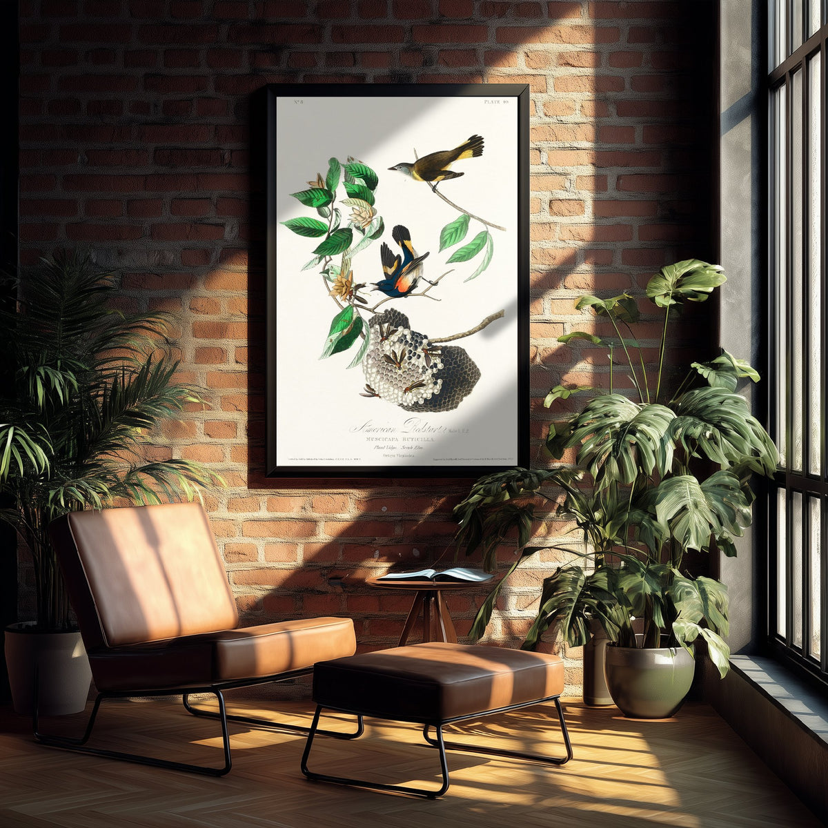 American Redstart Art Print - John James Audubon Poster - Birds of America Vintage Illustration