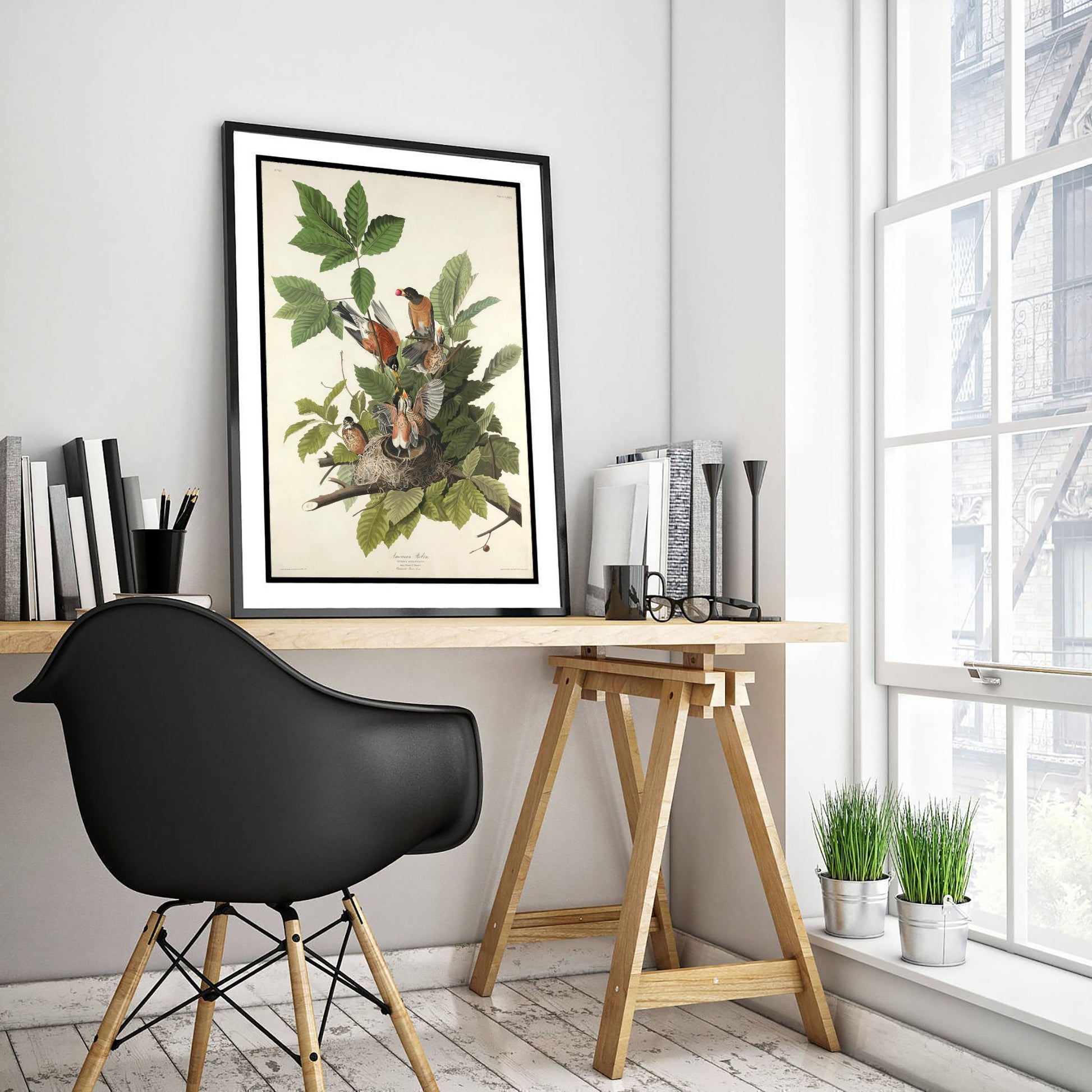 John James Audubon - American Robin - Birds of America Art Print Poster - Classic Painting 1/3