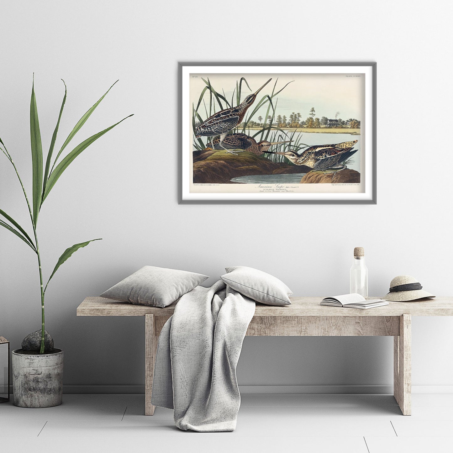 Wilson's Snipe Art Print - John James Audubon Poster - Birds of America Vintage Illustration
