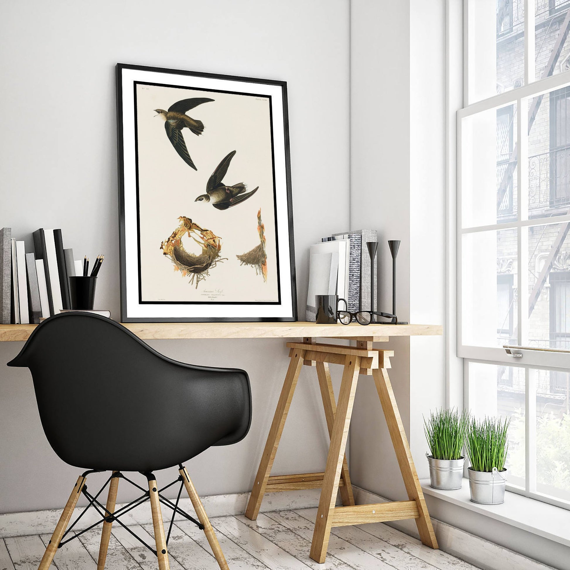 Chimney Swift Art Print - John James Audubon Poster - Birds of America Vintage Illustration