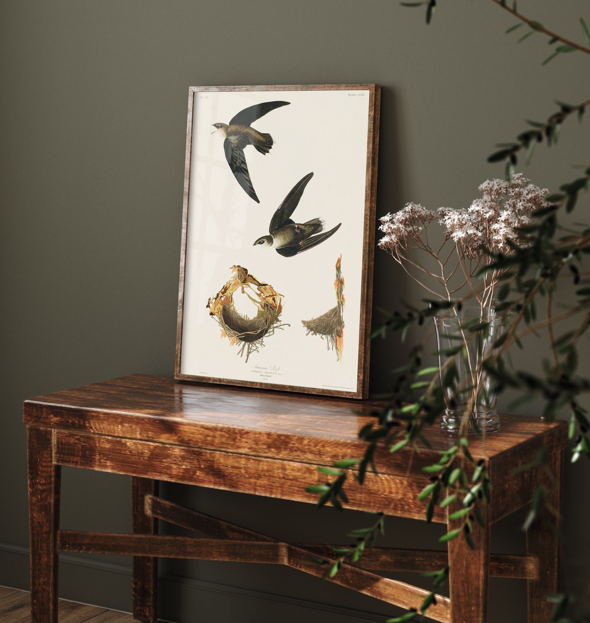 Chimney Swift Art Print - John James Audubon Poster - Birds of America Vintage Illustration