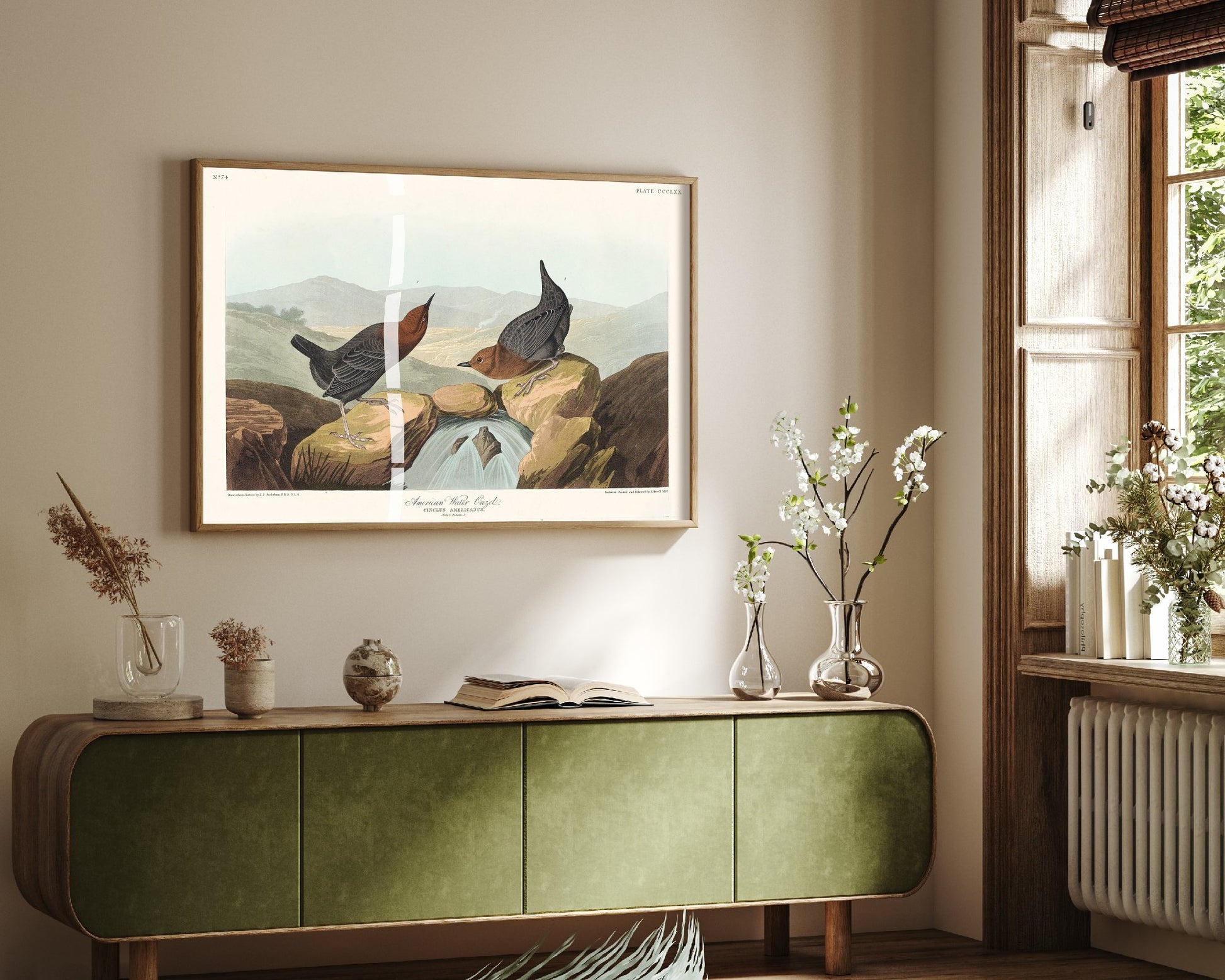 American Dipper Art Print - John James Audubon Poster - Water Ouzel Birds of America Illustration