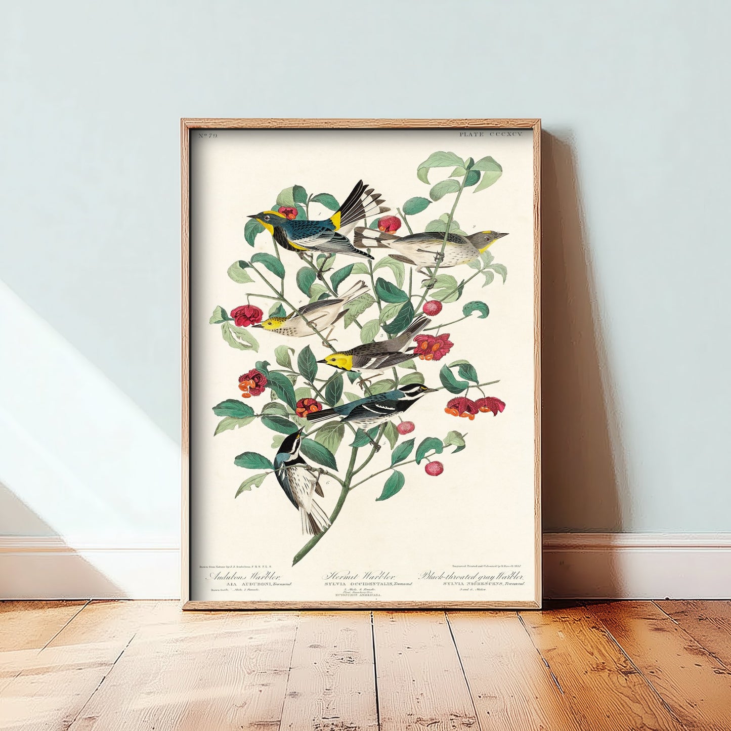 Yellow-rumped Warbler Art Print - John James Audubon Poster - Birds of America Vintage Illustration